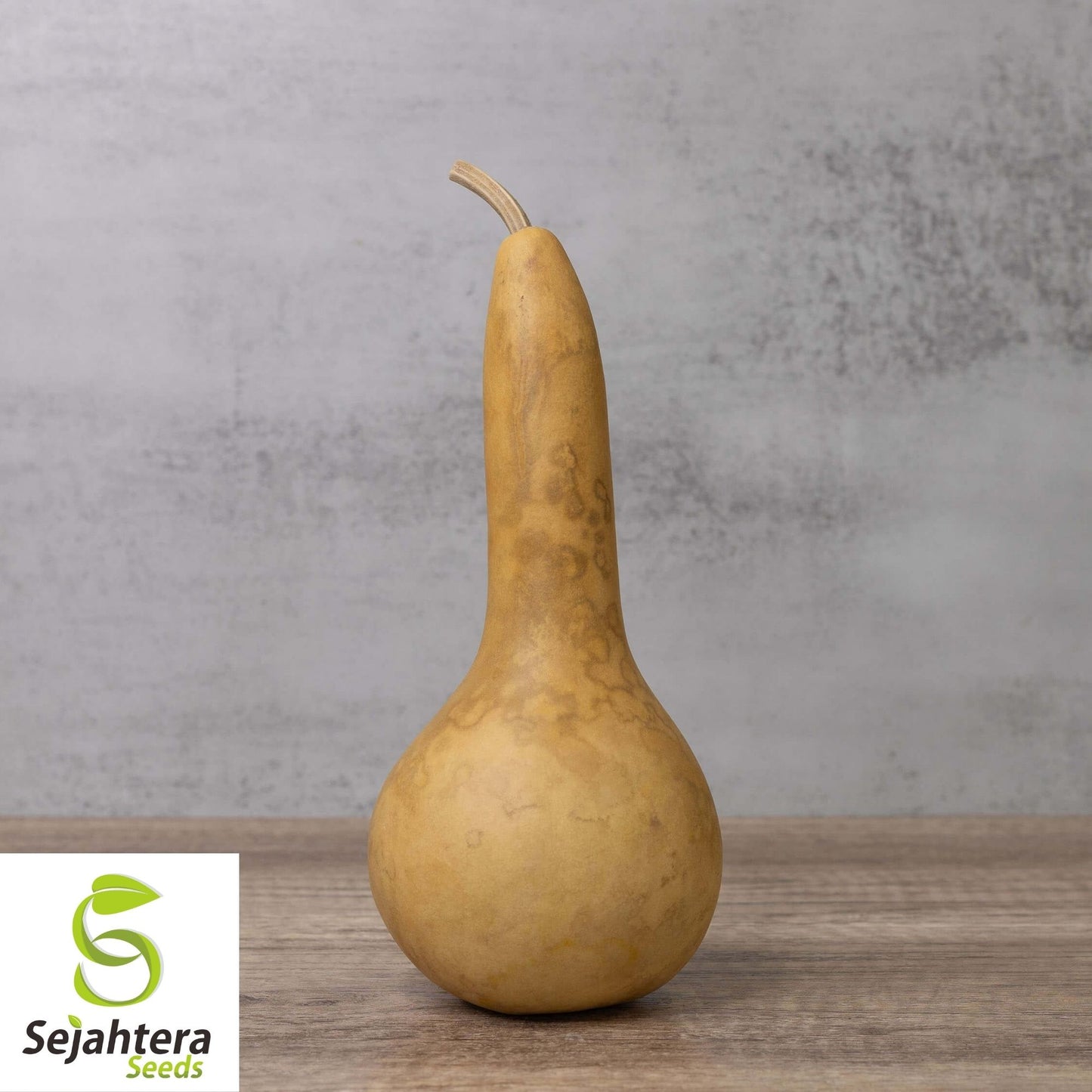 Dipper Gourd Seeds 5 Ct | Long Handle Bottle Heirloom NON-GMO USA