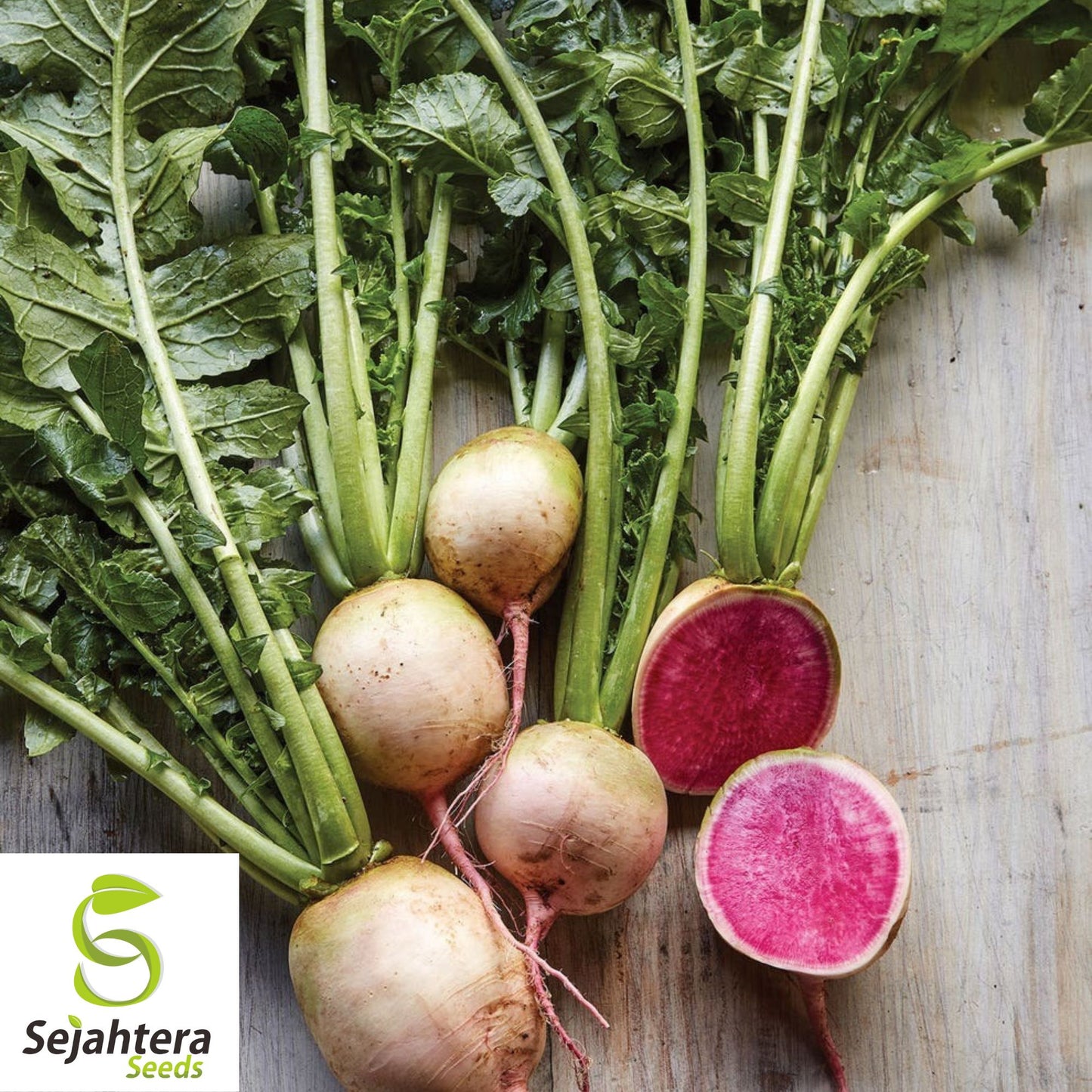 Watermelon Radish Seeds - 50+ Heirloom, Organic, Non-GMO & Fresh