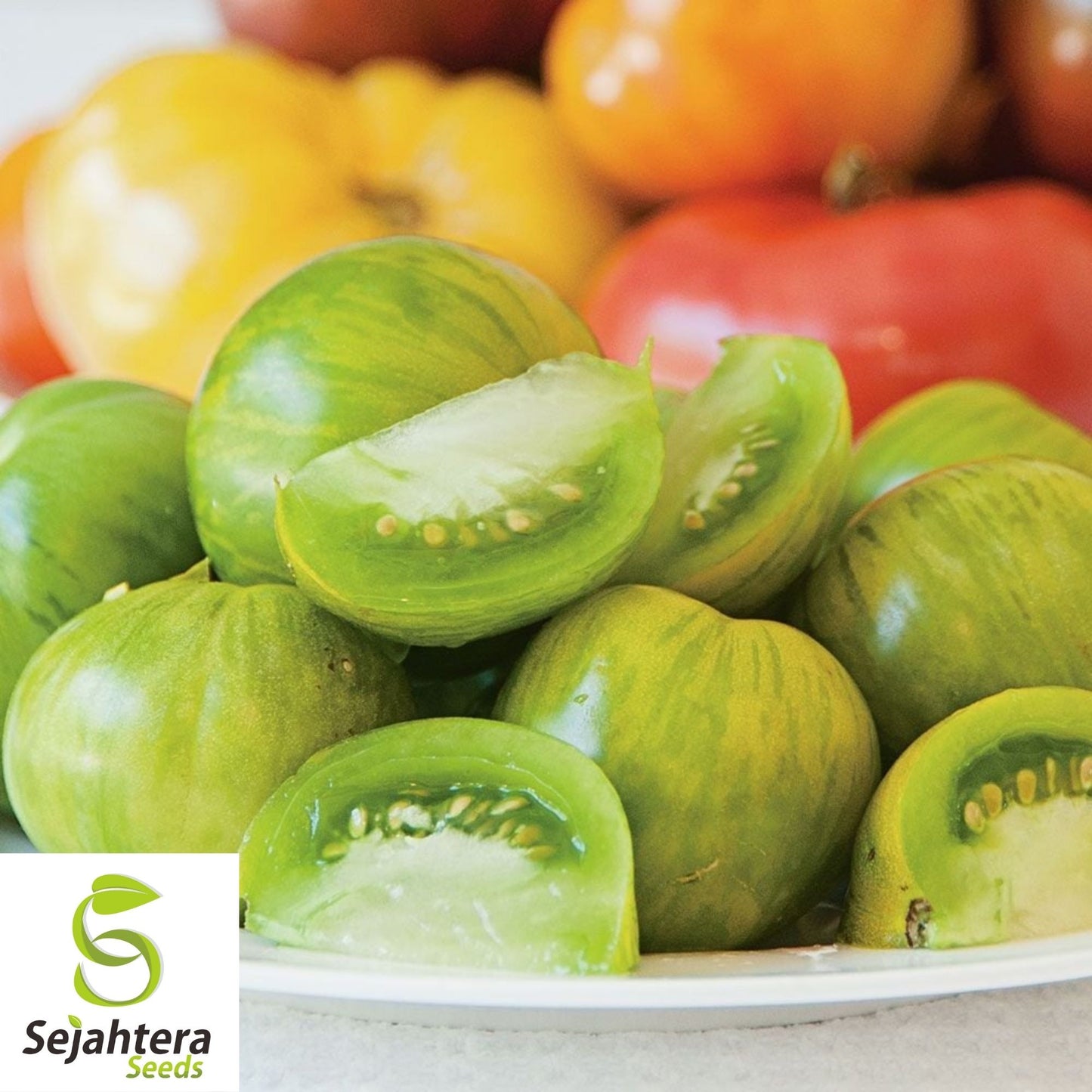 Green Zebra Tomato Seeds 50 Ct | Heirloom NON-GMO Vegetable Garden USA