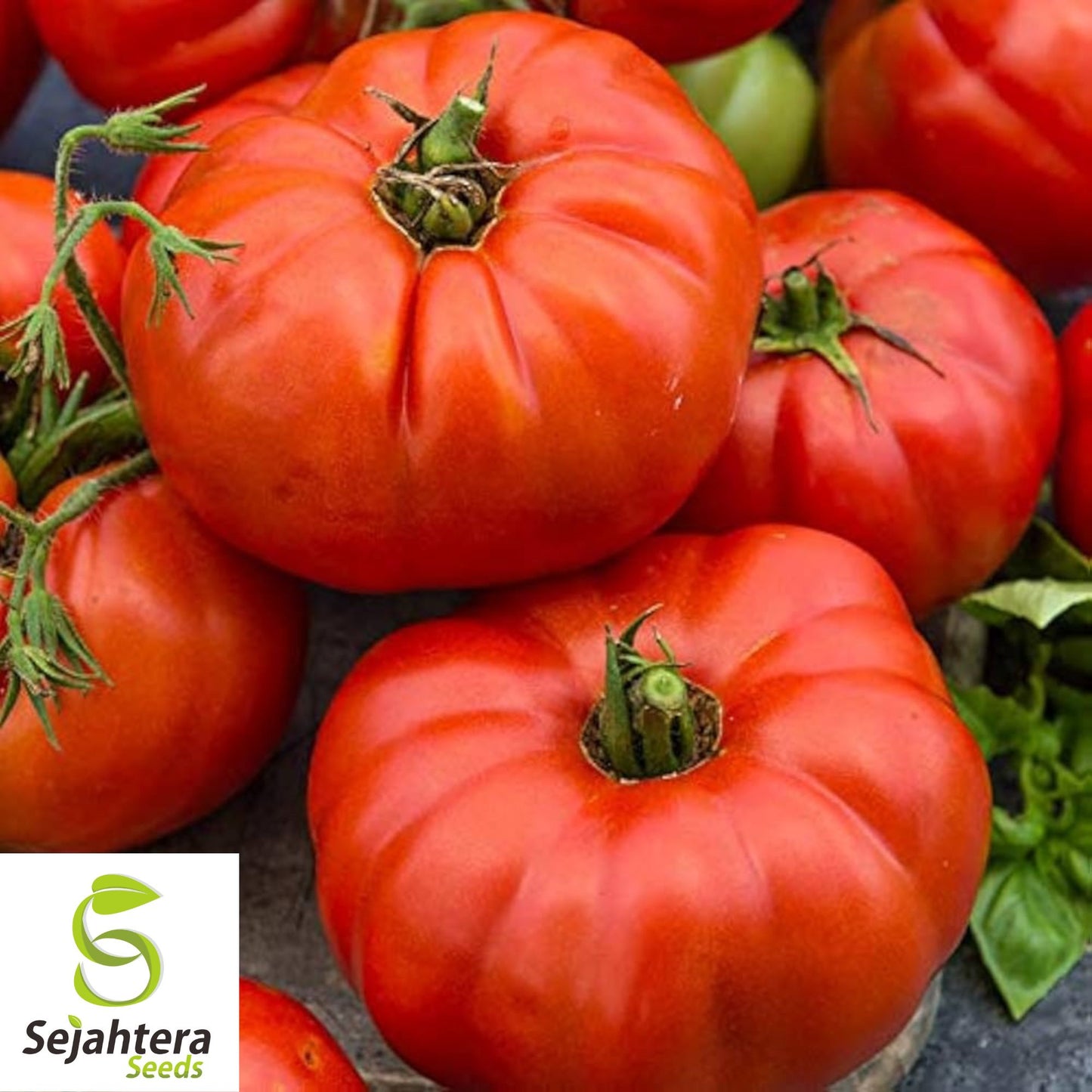 30 Beefsteak Tomato Seeds - Non-GMO, Large & Juicy Heirloom Variety