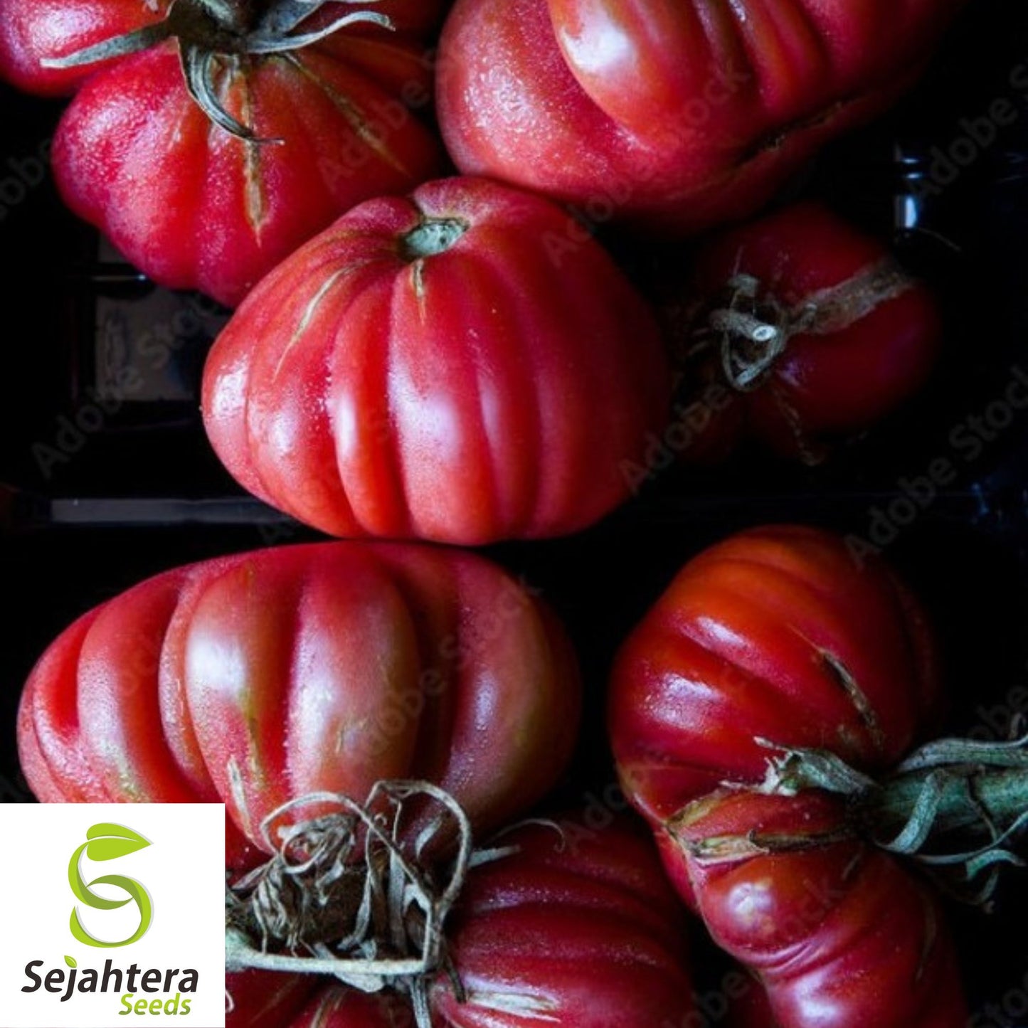30 Beefsteak Tomato Seeds - Non-GMO, Large & Juicy Heirloom Variety
