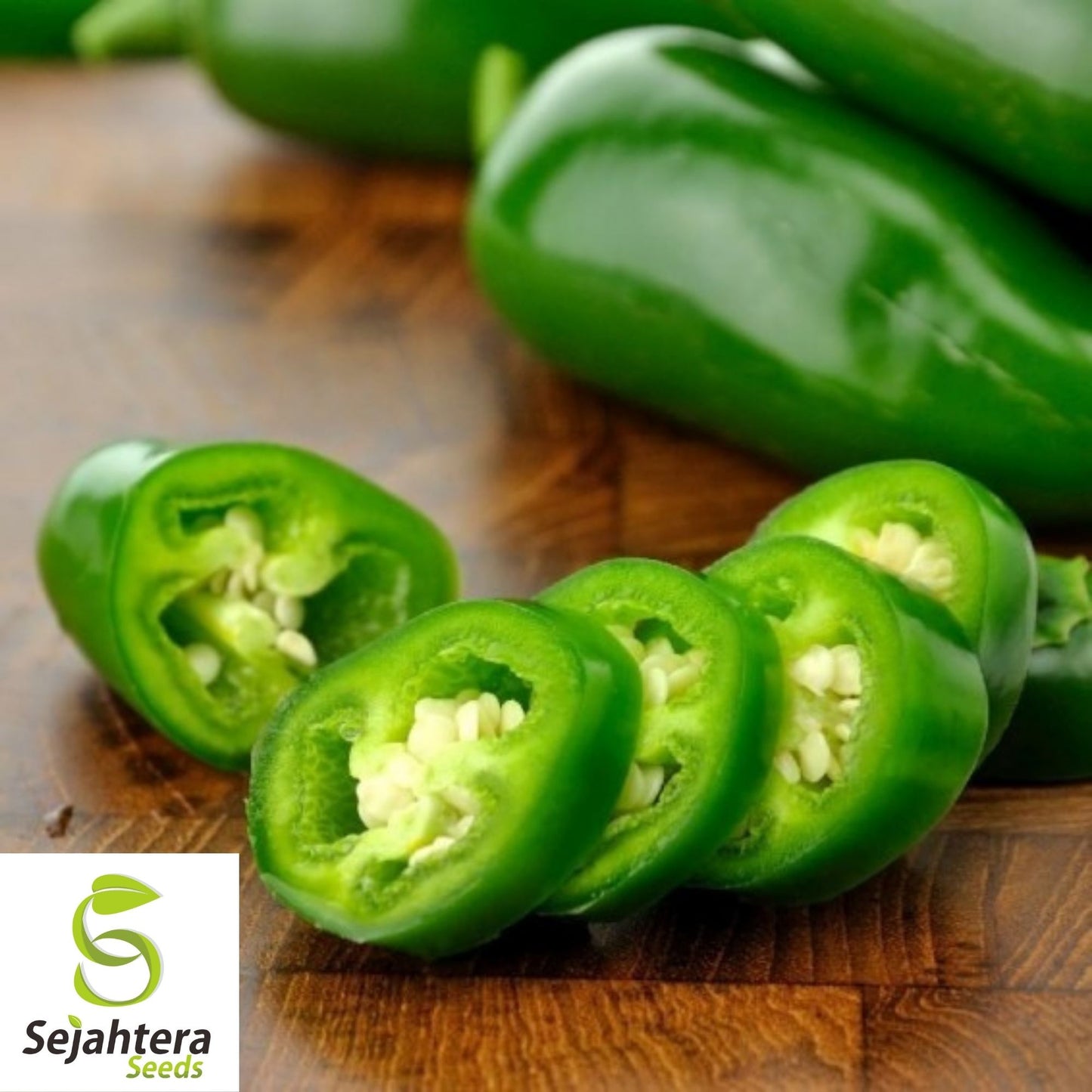 Jalapeño M Pepper Seeds 50+ | Hot Spicy Vegetable NON-GMO USA