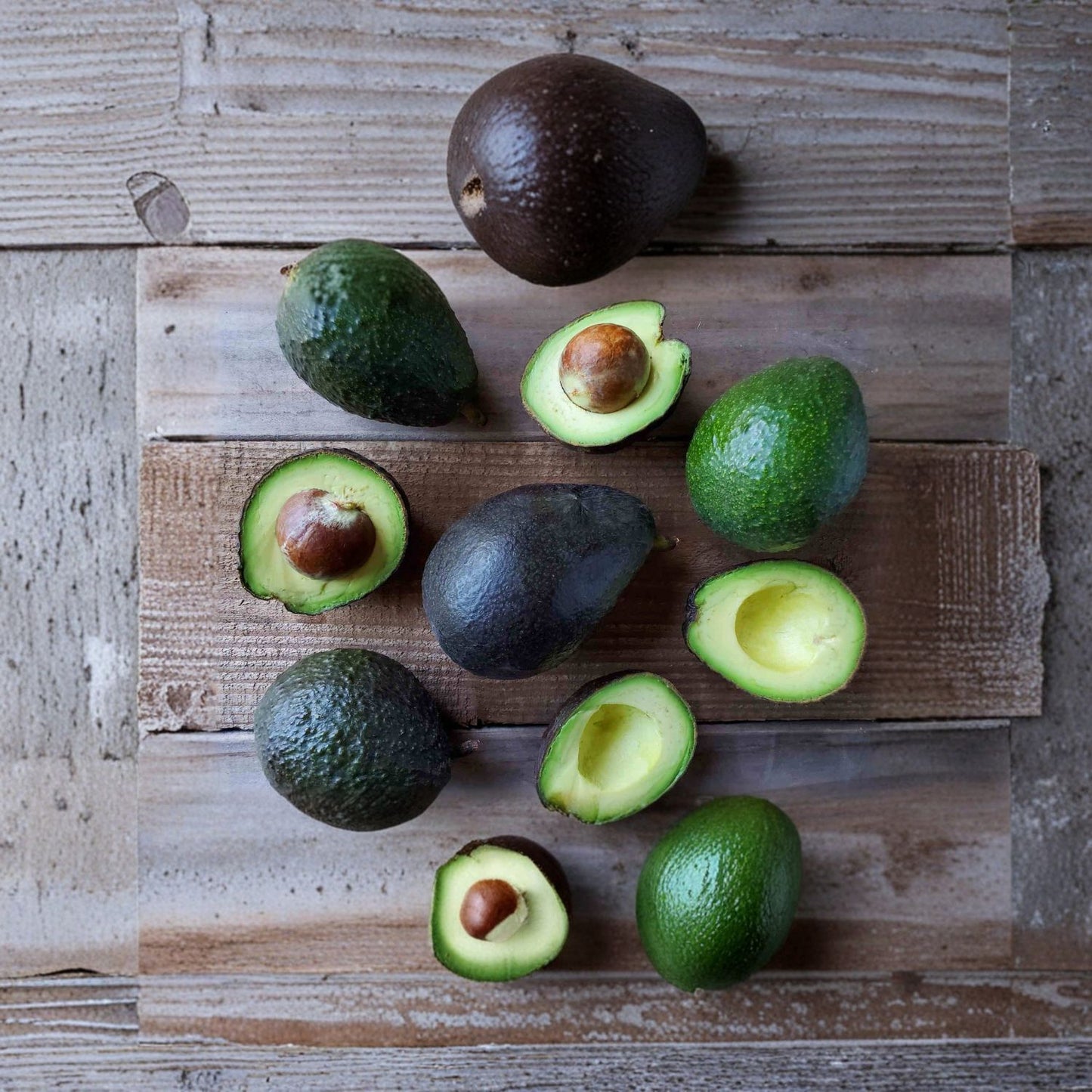 Hass Avocado Tree – Persea americana Live Seedlings | 5 Height Options Available | No Pesticides Used Tropical Fruit Starter | Great Gift Idea | Backyard & Patio Friendly