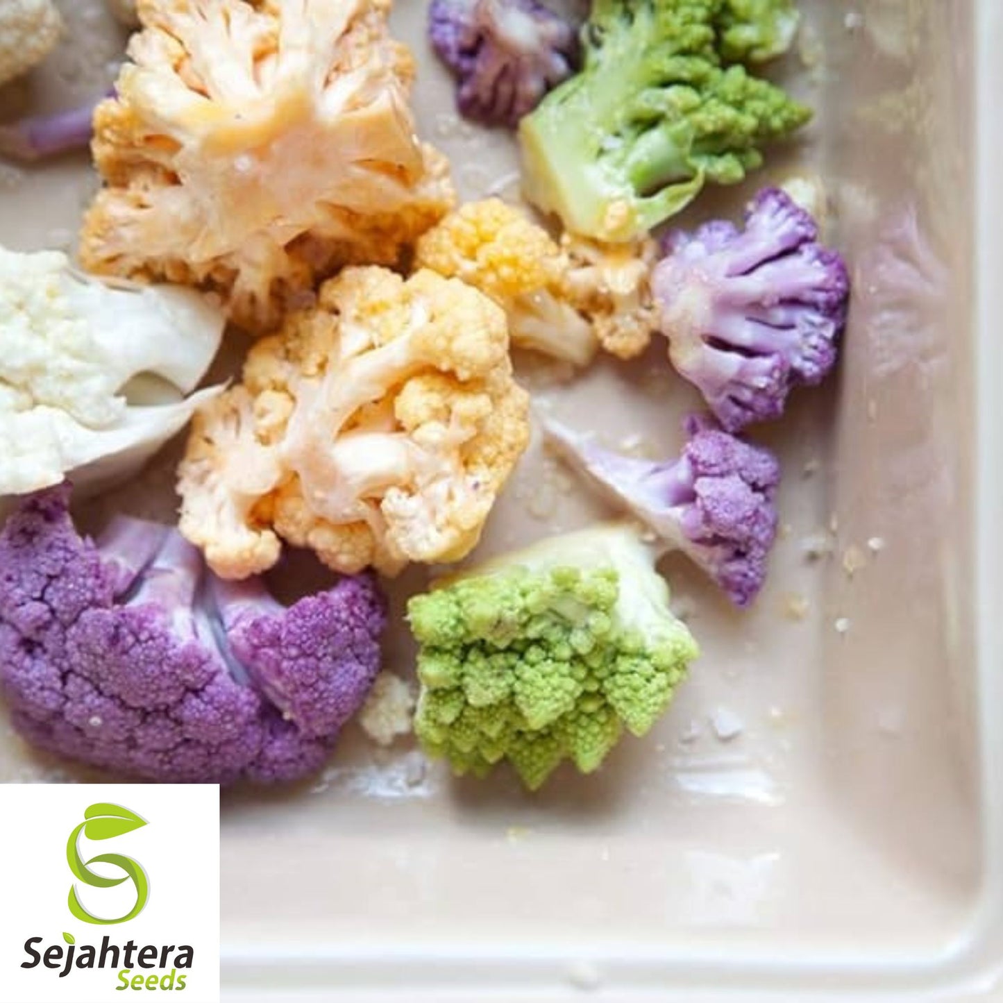 Rainbow Blend Cauliflower & Broccoli Seeds - Non-GMO, Vibrant & Nutritious Mix