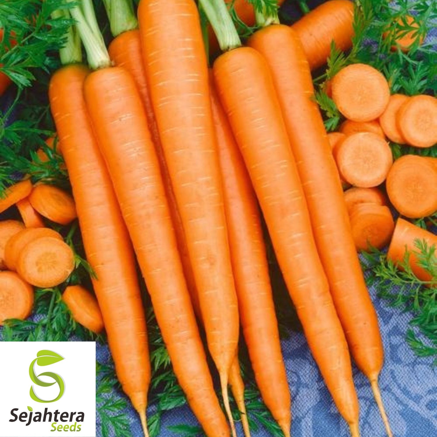 2000+ Imperator 58 Carrot Seeds - Heirloom, Non-GMO, Sweet & Crisp