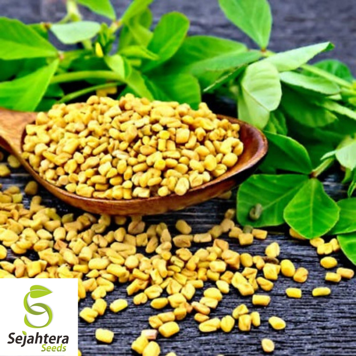 100 Fenugreek Herb Seeds - Non-GMO, Aromatic & Versatile Culinary Herb