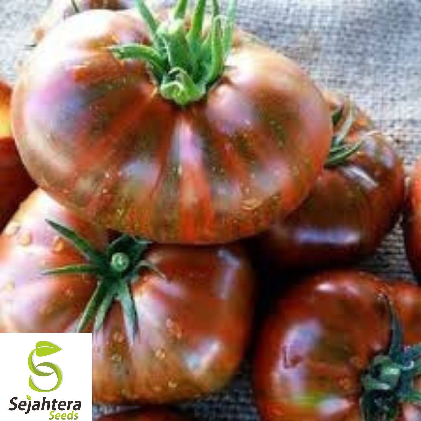120+ Chocolate Stripe Tomato Seeds - Heirloom, Organic, Non-GMO, Rare & Sweet