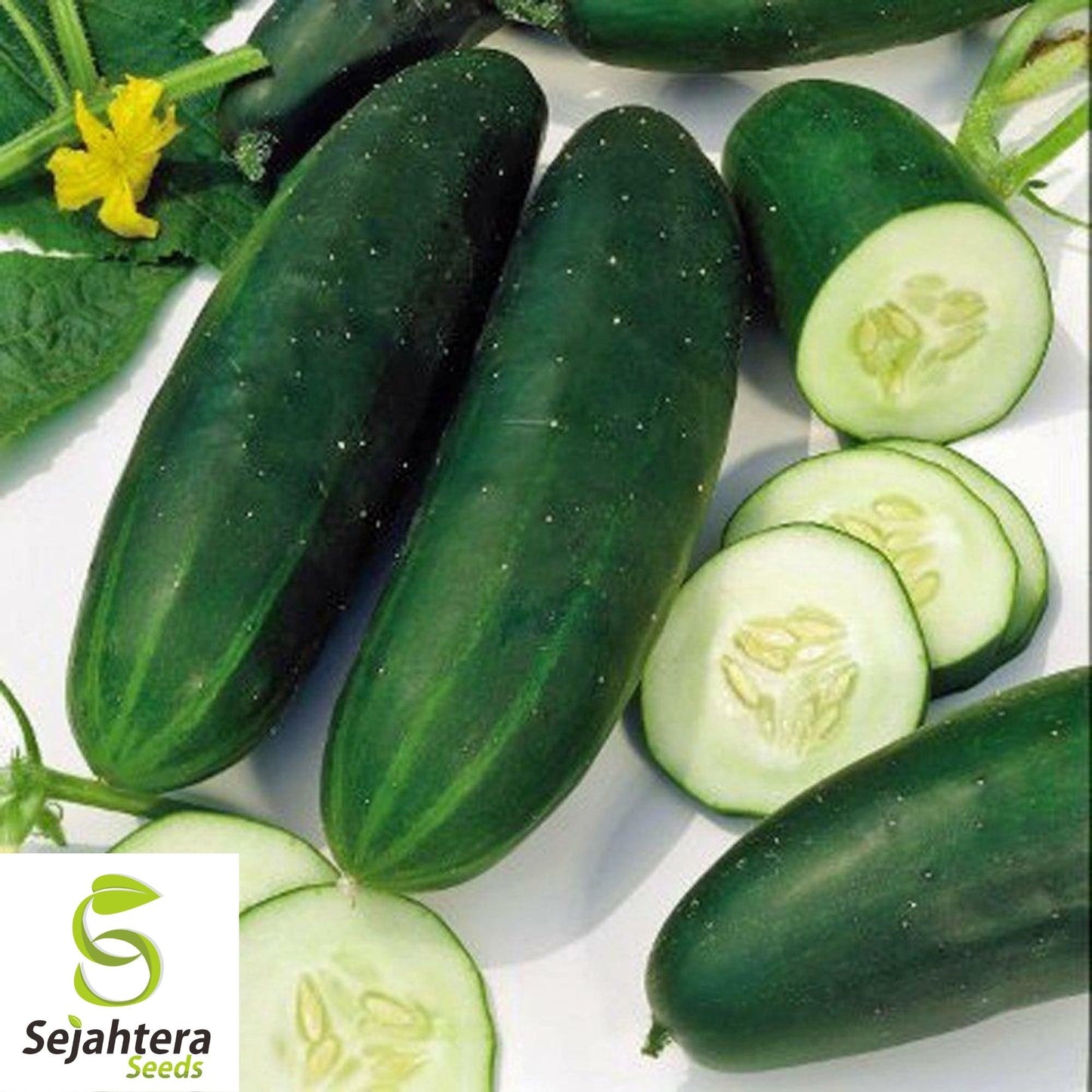 60+ Straight Eight Cucumber Seeds - Non-GMO, Crisp & High-Yield Variety