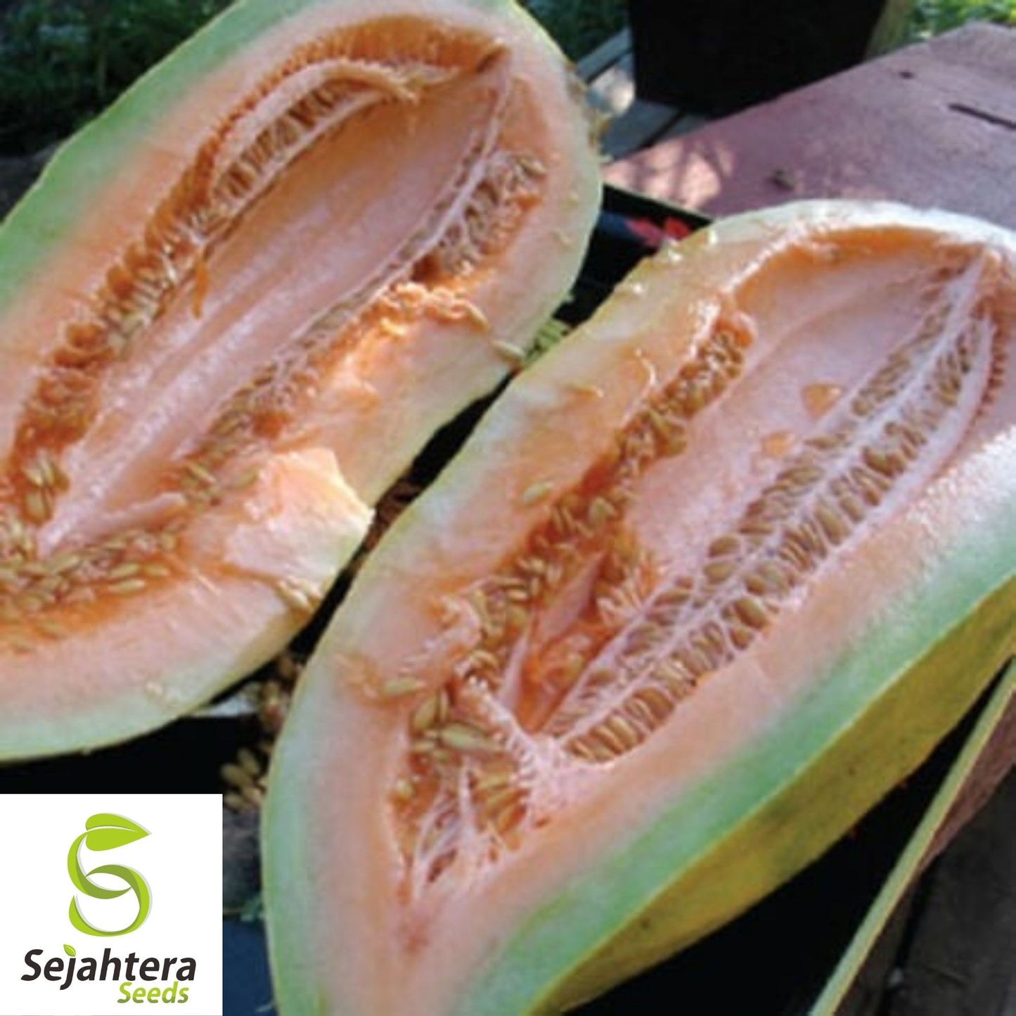 Banana Melon Cantaloupe Seeds 50+ | Heirloom Muskmelon Fruit NON-GMO USA