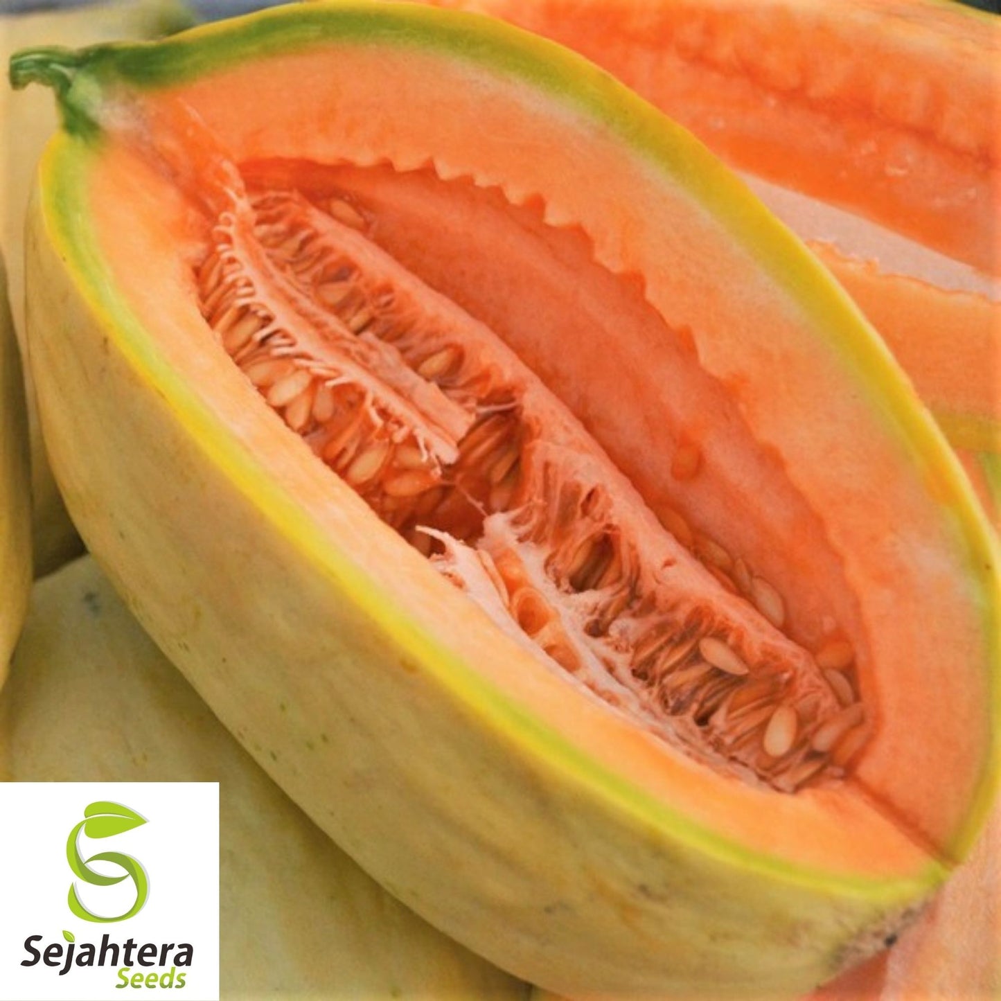 Banana Melon Cantaloupe Seeds 50+ | Heirloom Muskmelon Fruit NON-GMO USA