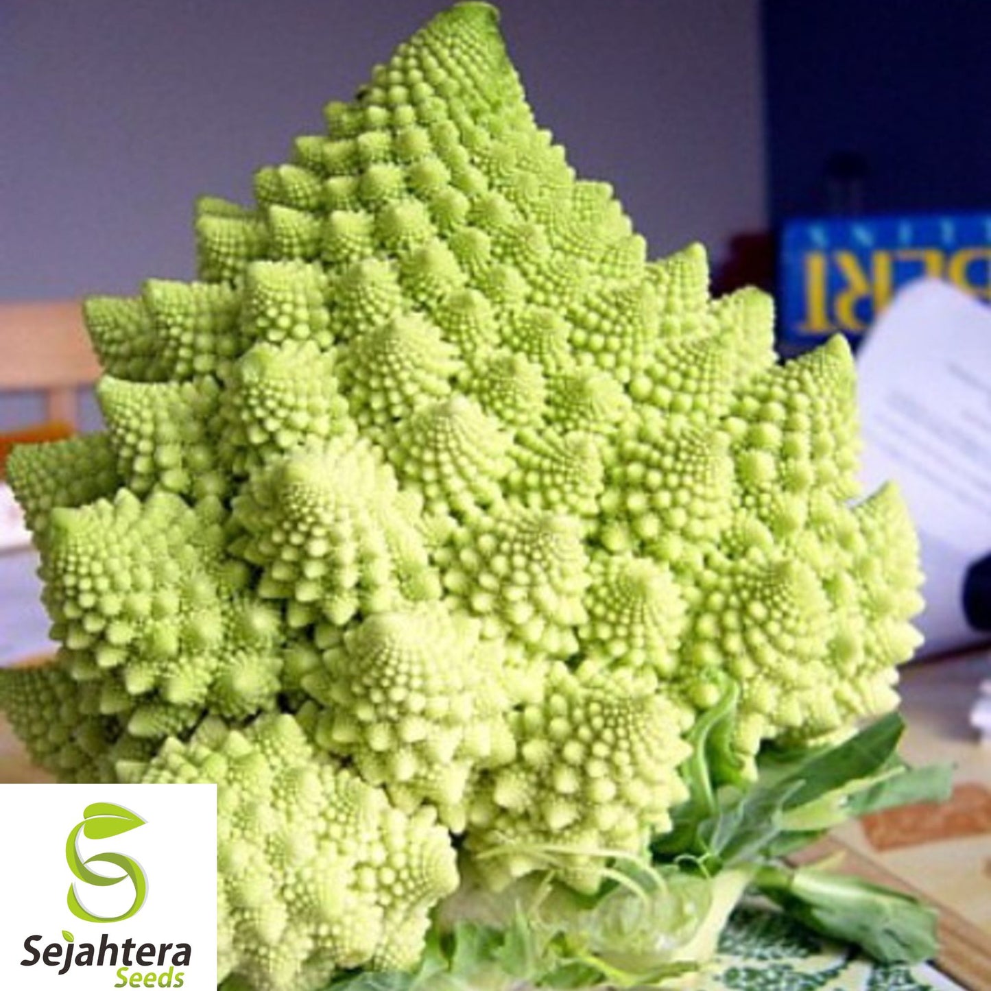 1000+ Romanesco Broccoli Seeds - Heirloom, Organic, Non-GMO, Nutritious & Fresh
