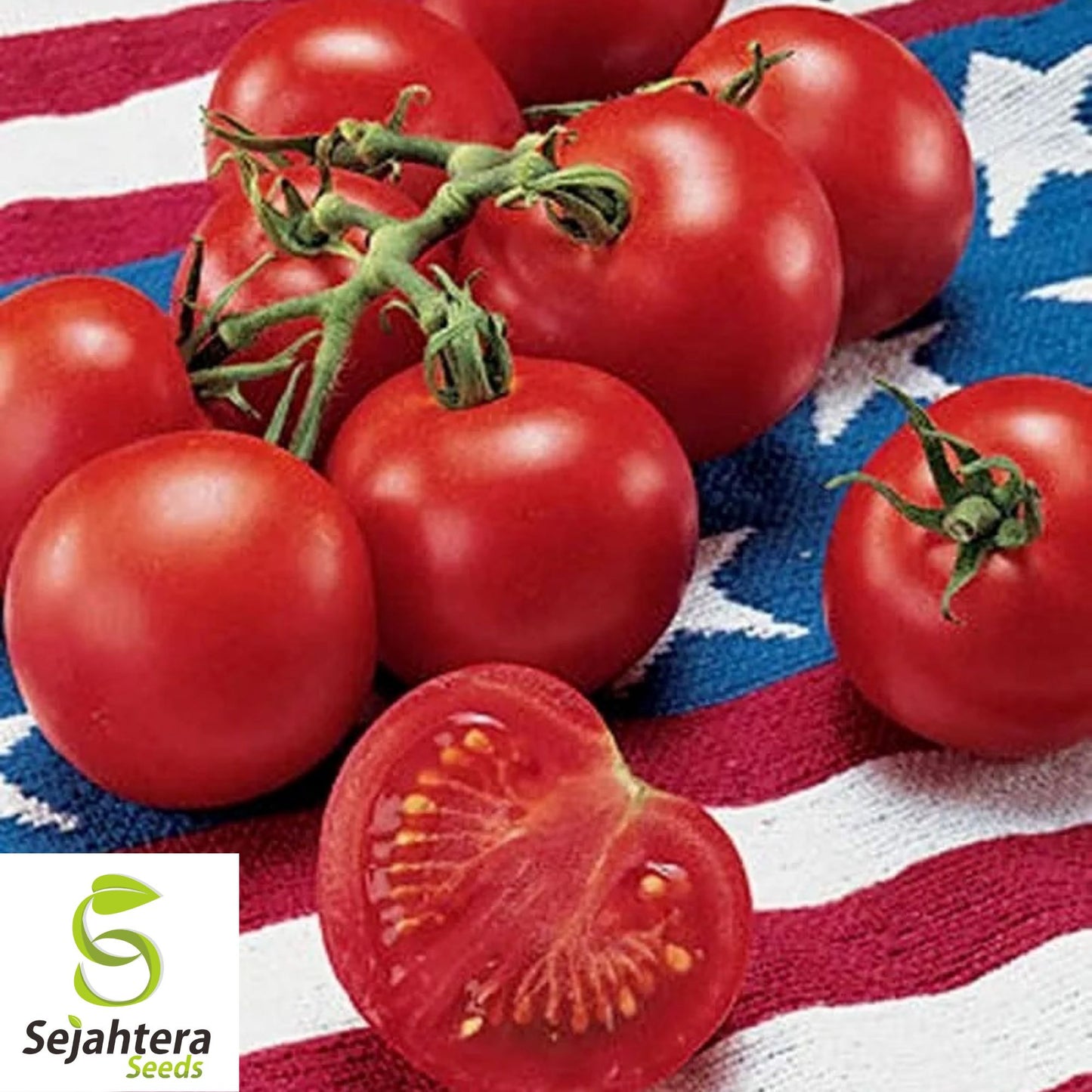 Homestead Tomato Seeds - 120+ Heirloom, Drought-Resistant, Organic & Non-GMO