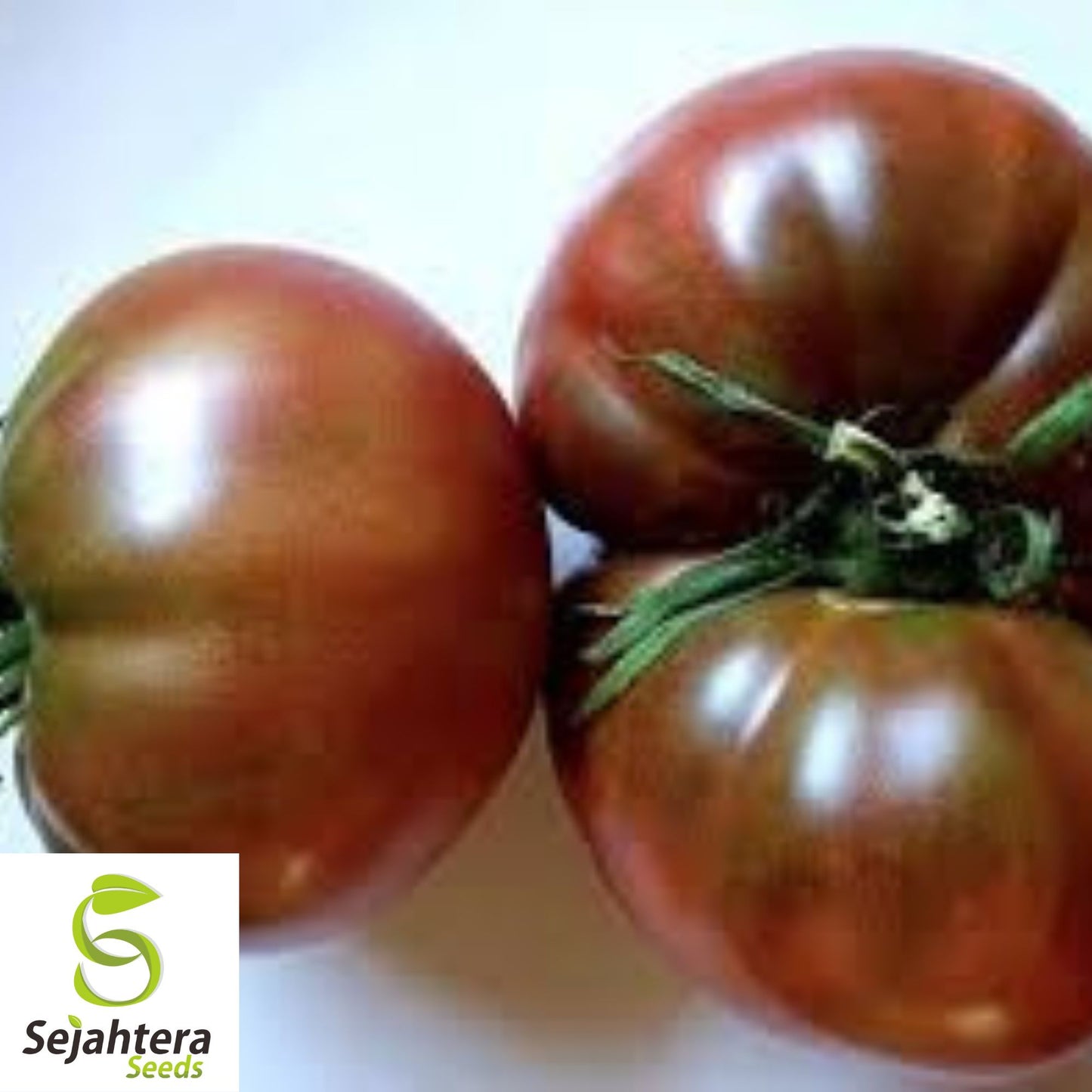 Black From Tula Tomato Seeds - 30+ Heirloom, Organic, Non-GMO & Rare