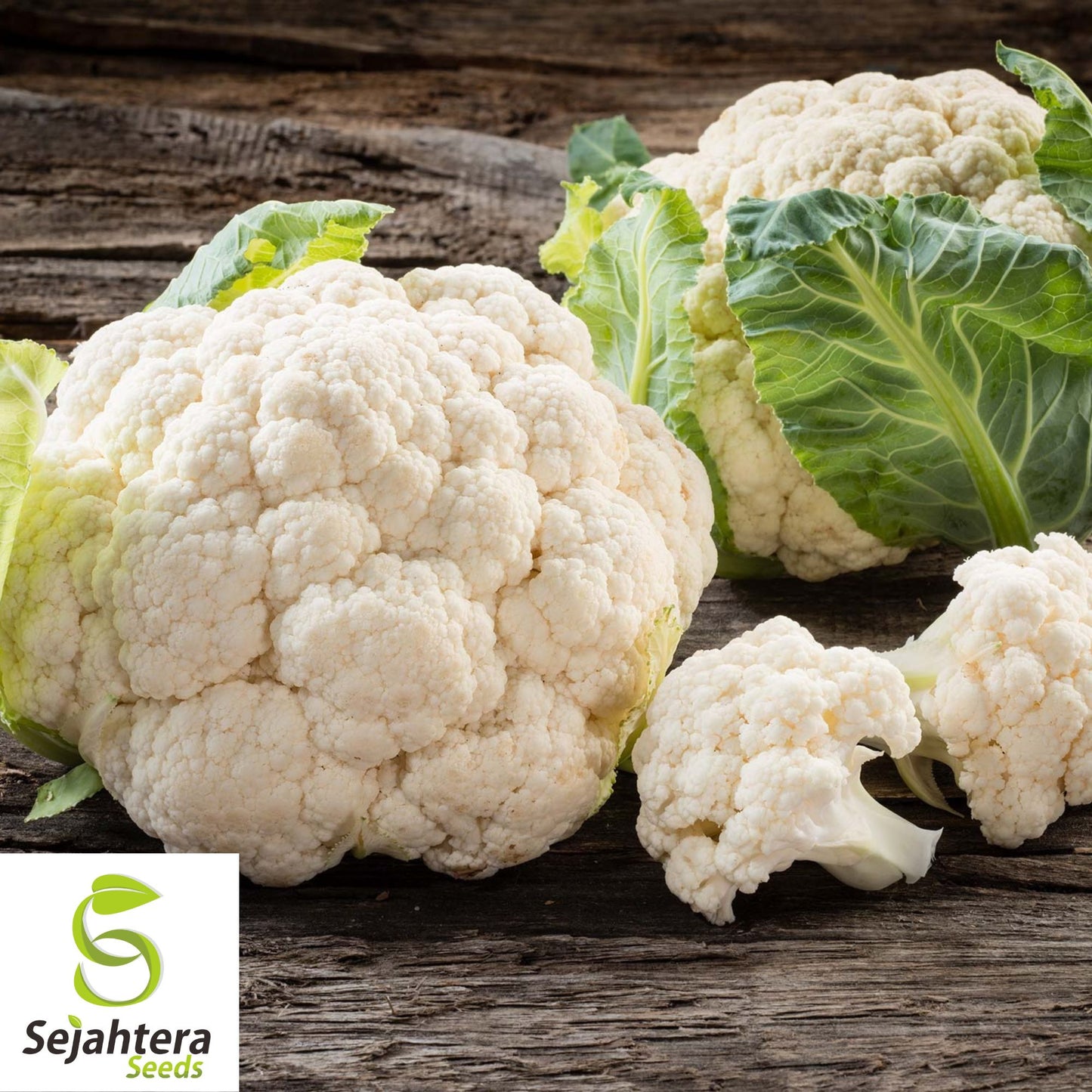 400+ Cauliflower Seeds - Self Blanching, Non-GMO & Heirloom Variety