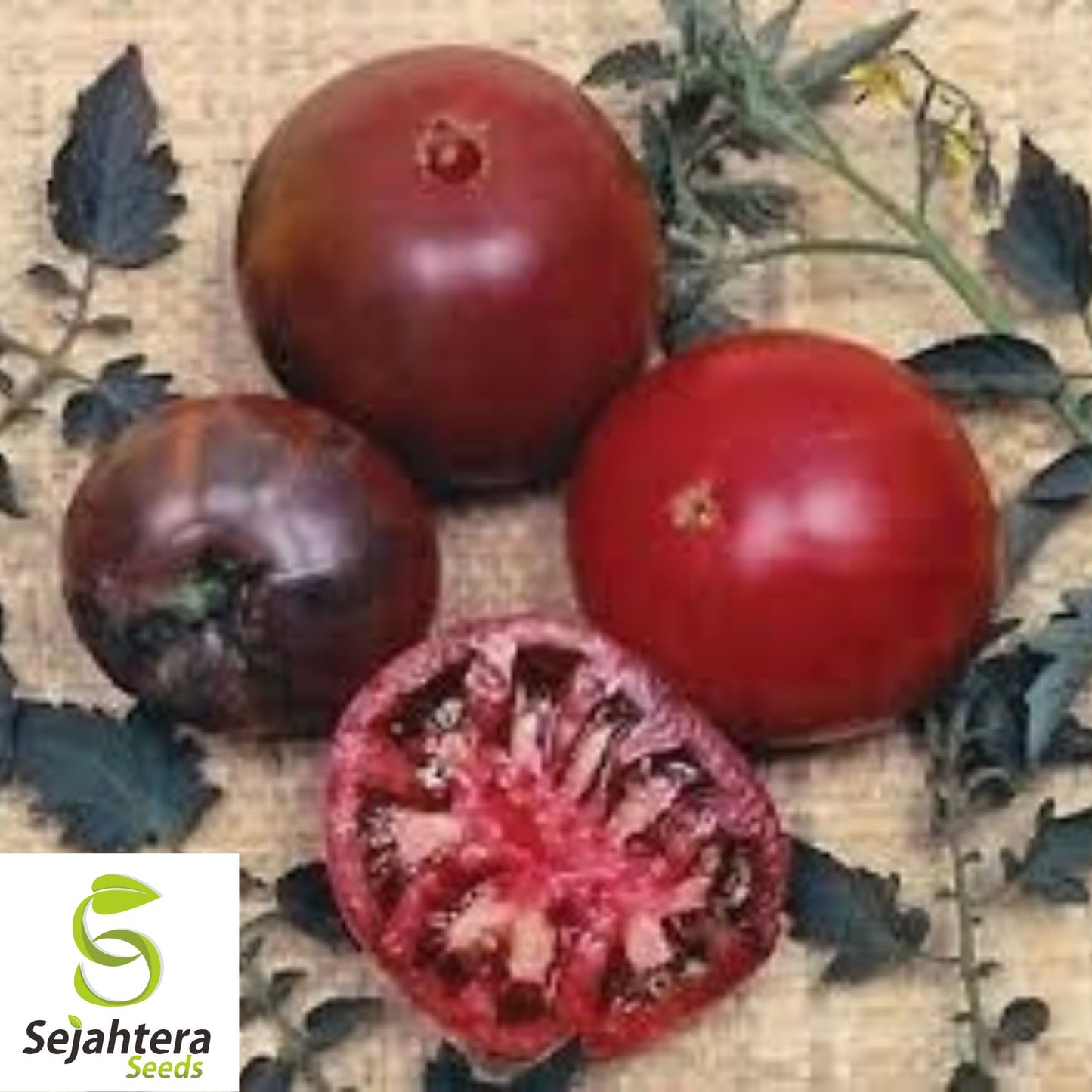 Black Krim Tomato Seeds - 120+ Heirloom, Organic, Non-GMO & Rich Flavor