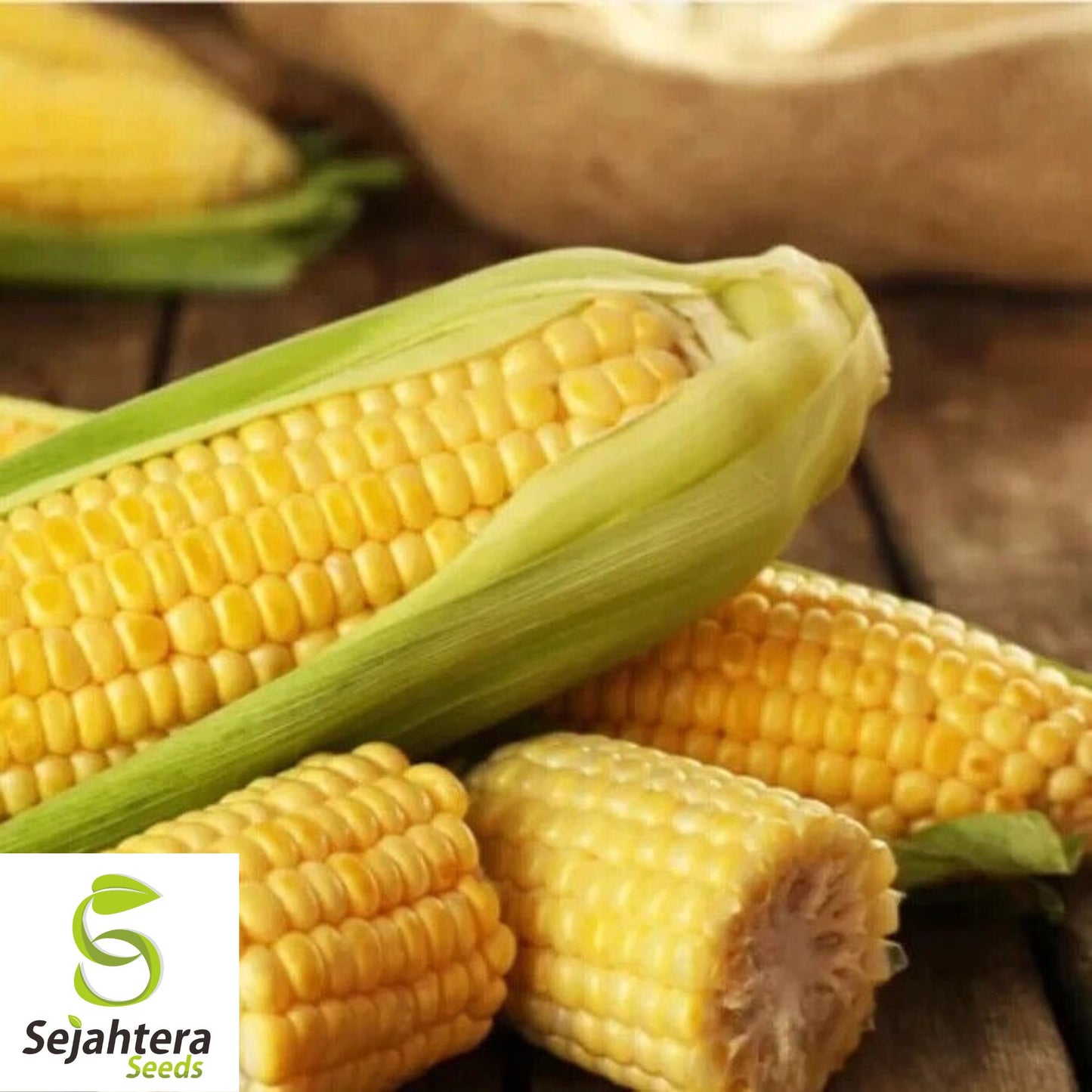 25 Trucker's Favorite Yellow Corn Seeds - Heirloom, Non-GMO, Sweet & Versatile