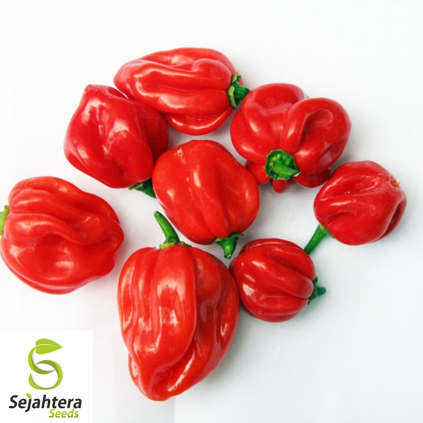 25 Caribbean Red Habanero Pepper Seeds - Non-GMO, Extra Spicy Variety