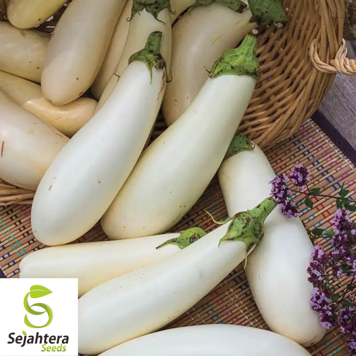 Casper White Eggplant Seeds - 100+ Heirloom, Organic, Non-GMO & Rare