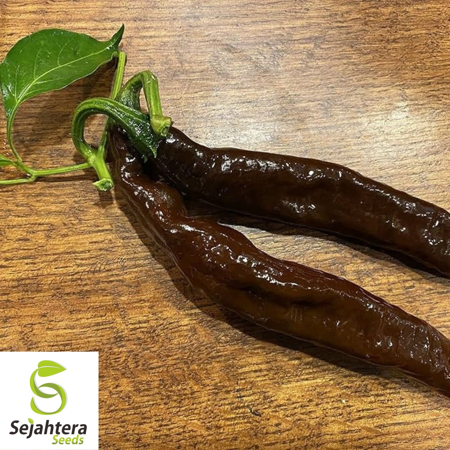 25 Pasilla Bajio Pepper Seeds - Non-GMO, Mild & Smoky Flavor