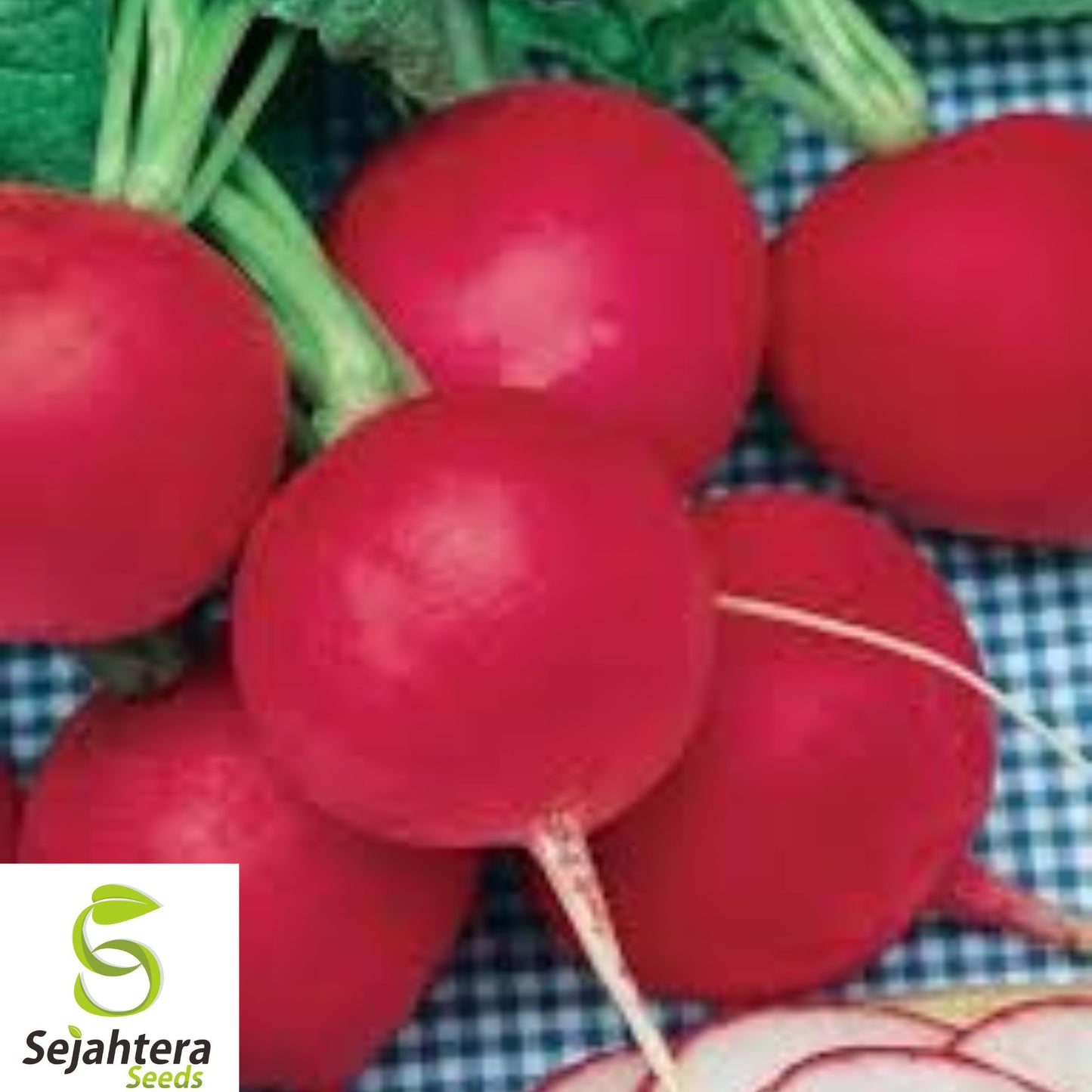 100+ German Giant Radish Seeds - Heirloom, Organic, Non-GMO, Crisp & Spicy