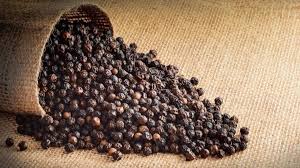 Black Beauty Peppercorn Seeds | Piper nigrum | Organic Heirloom Pepper Plant | Rare Spice Garden Seeds (10)