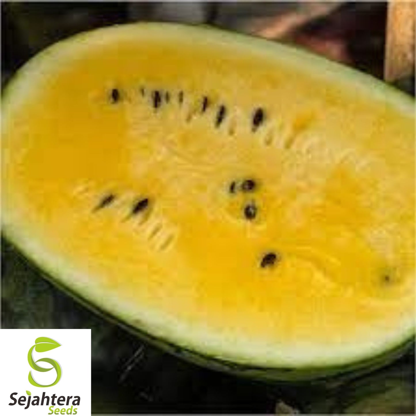 25+ Mountain Sweet Watermelon Seeds - Heirloom, Organic, Non-GMO, Rare & Juicy