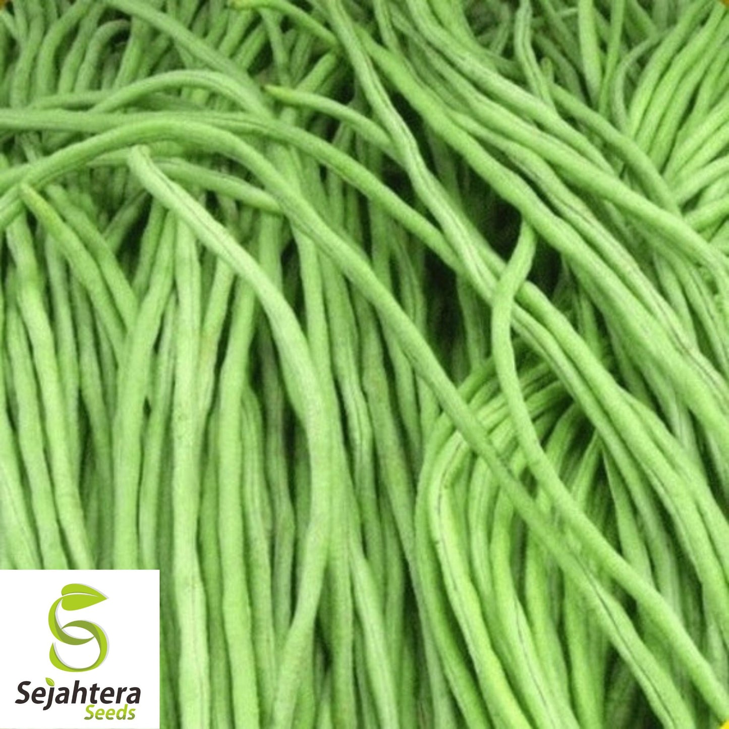 Yard Long Cowpea Bean Seeds 50+ | Heirloom Non-GMO Variety