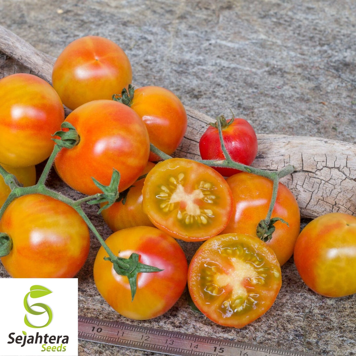 30 Isis Candy Cherry Tomato Seeds - Non-GMO, Sweet & Heirloom Variety