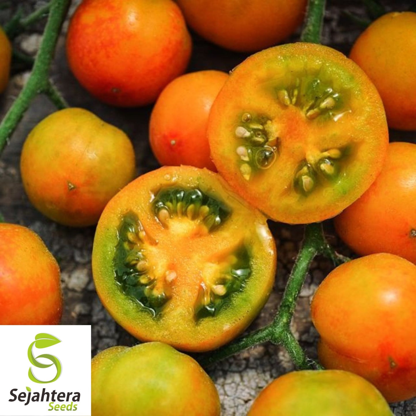 30 Isis Candy Cherry Tomato Seeds - Non-GMO, Sweet & Heirloom Variety