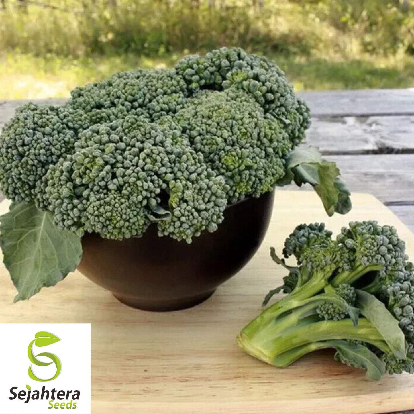 500 Waltham 29 Broccoli Seeds - Non-GMO, Heirloom Garden Vegetable