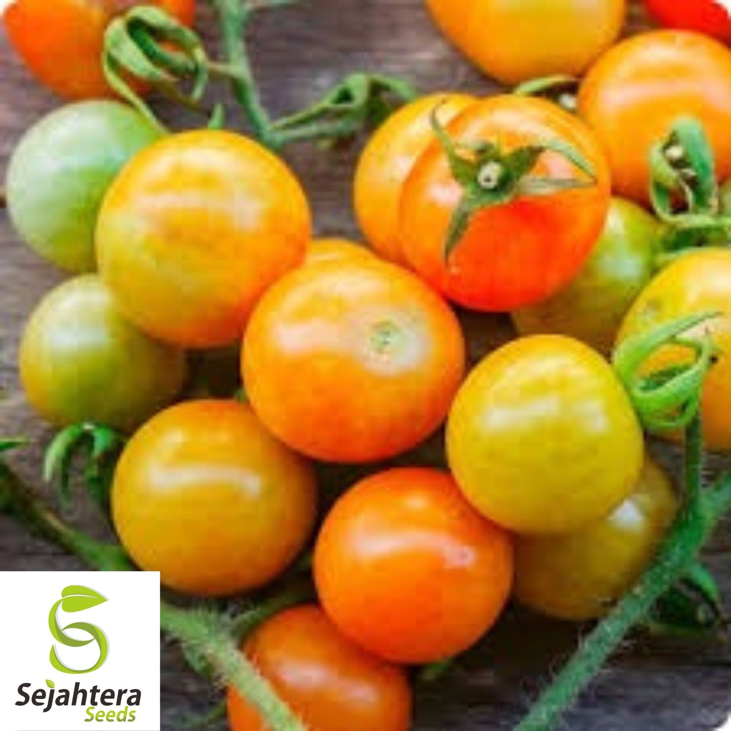 30 Isis Candy Cherry Tomato Seeds - Non-GMO, Sweet & Heirloom Variety