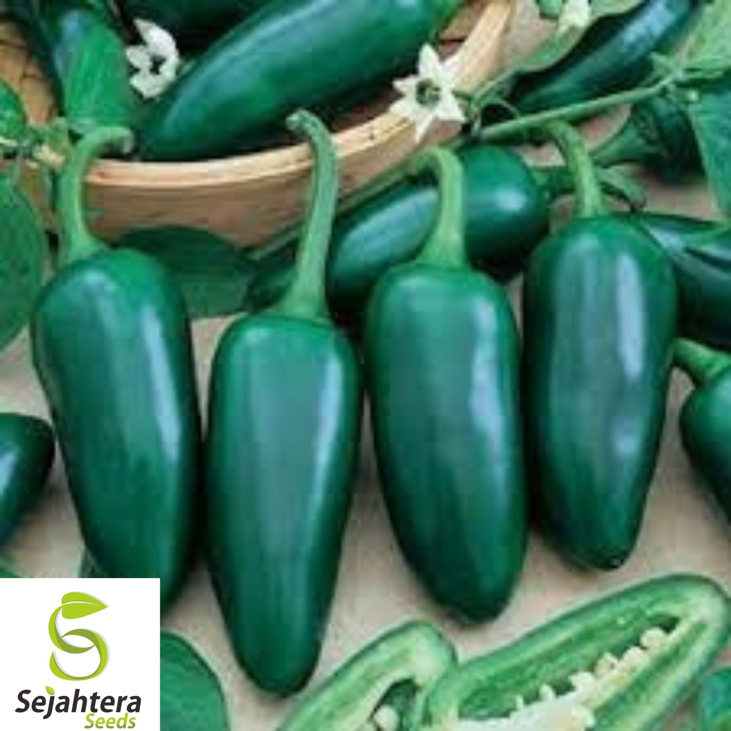 10+ Mammoth Jalapeno Pepper Seeds - Organic, Non-GMO, Extra Large & Spicy