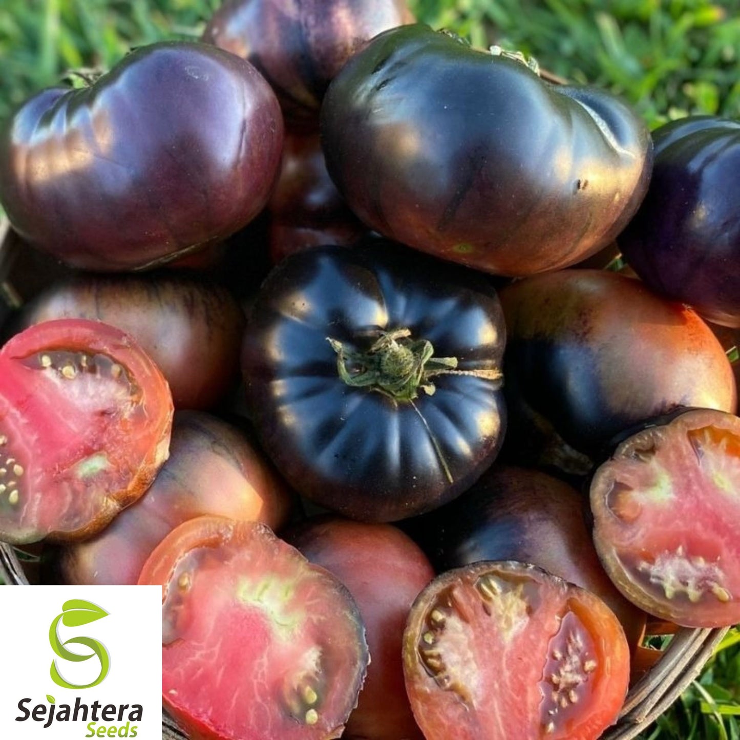 120+ Black Truffle Tomato Seeds - Early, Heirloom, Organic, Rare & Sweet Flavor