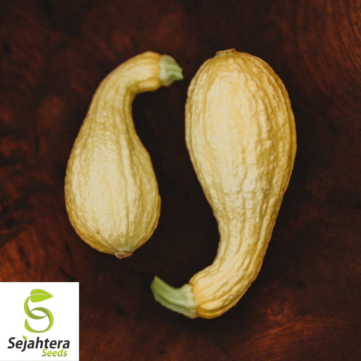 Crookneck Squash Seeds 30 Ct | Golden Yellow Summer Vegetable Garden USA