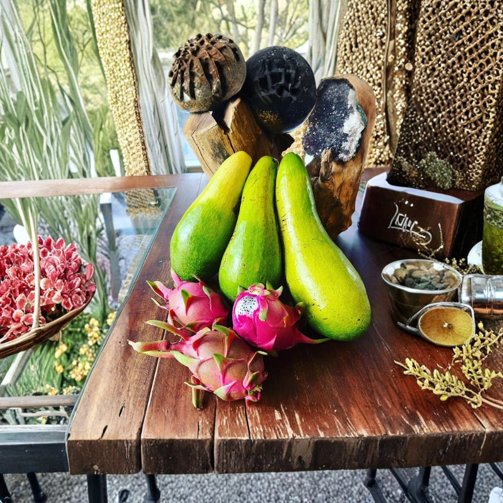 Avocado Tree – Persea americana Live Seedling | Healthy Starter Plant | Ready to Grow Backyard & Container Friendly | Easy to Care For | Tropical Favorite