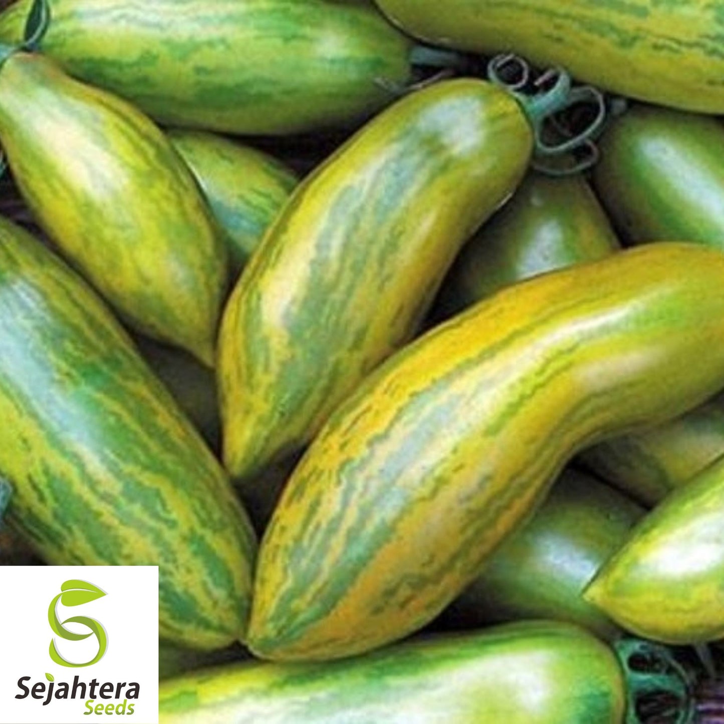 30 Green Sausage Tomato Seeds - Non-GMO, Heirloom & Unique Variety