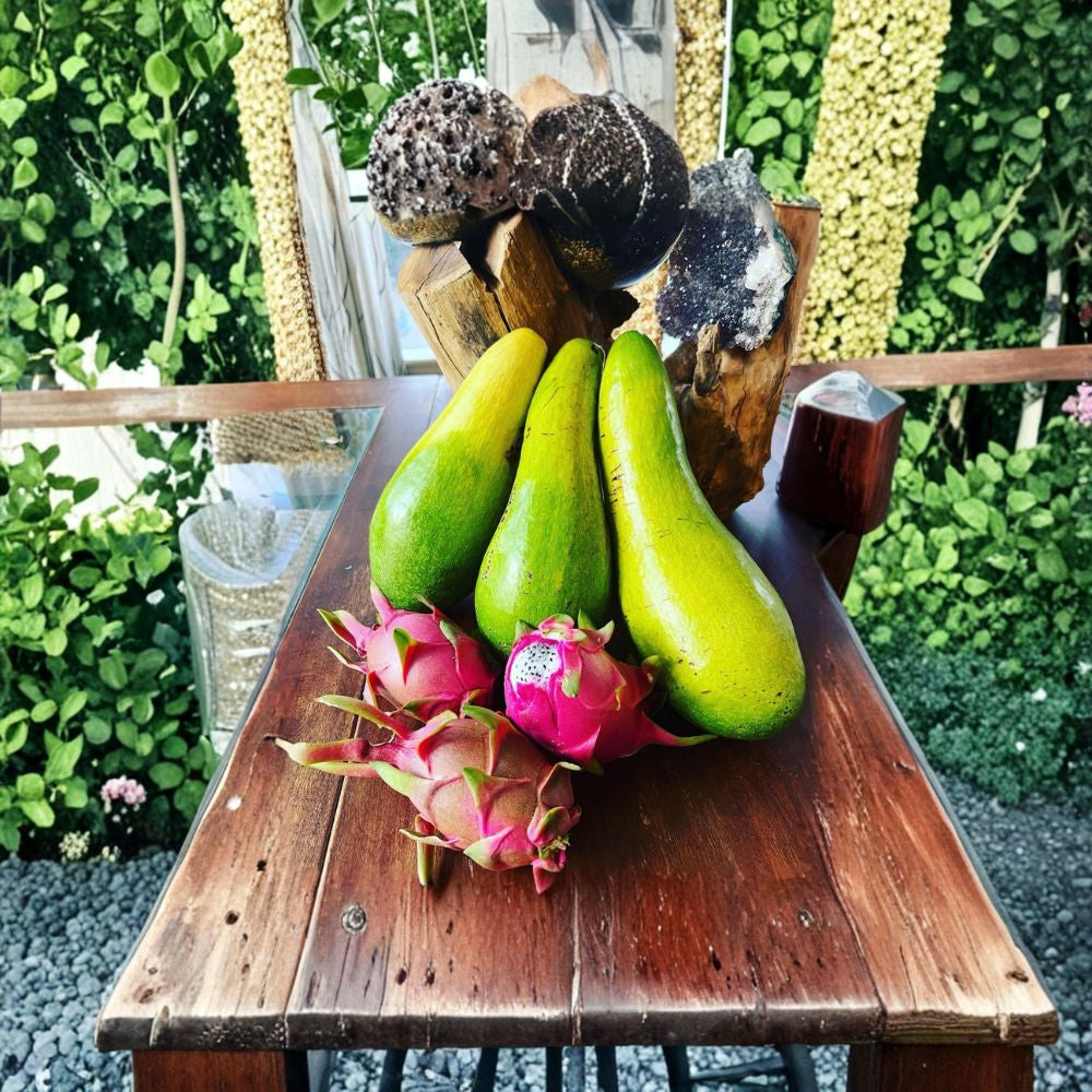 Long Neck Avocado Tree – Persea americana Live Tree | Self Pollinated | Unique Elongated Variety Tropical Fruit Tree | Backyard & Patio Friendly | Easy to Grow