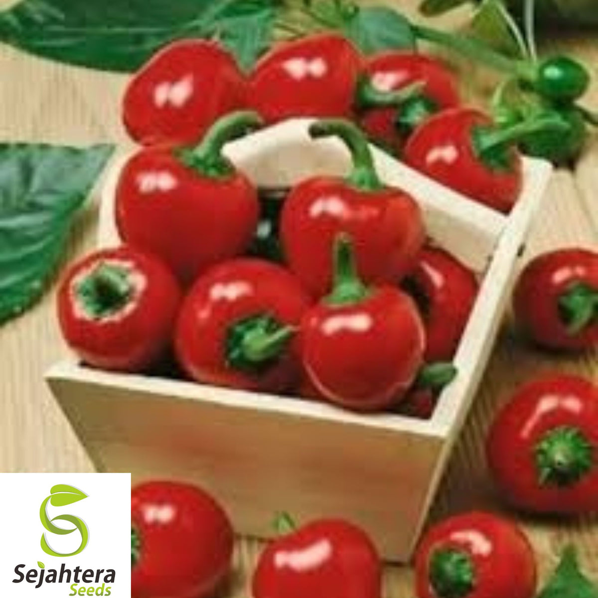 100+ Large Red Cherry Hot Pepper Seeds - Heirloom, 3,000-5,000 Scoville Heat