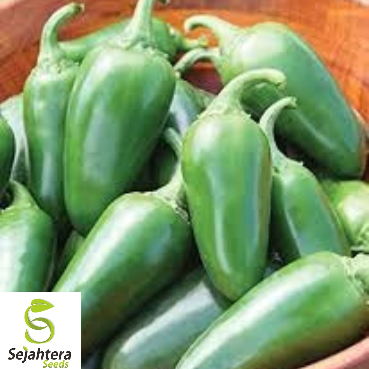 25+ Early Jalapeño Pepper Seeds - Heirloom, Non-GMO, Spicy & High-Yield Variety