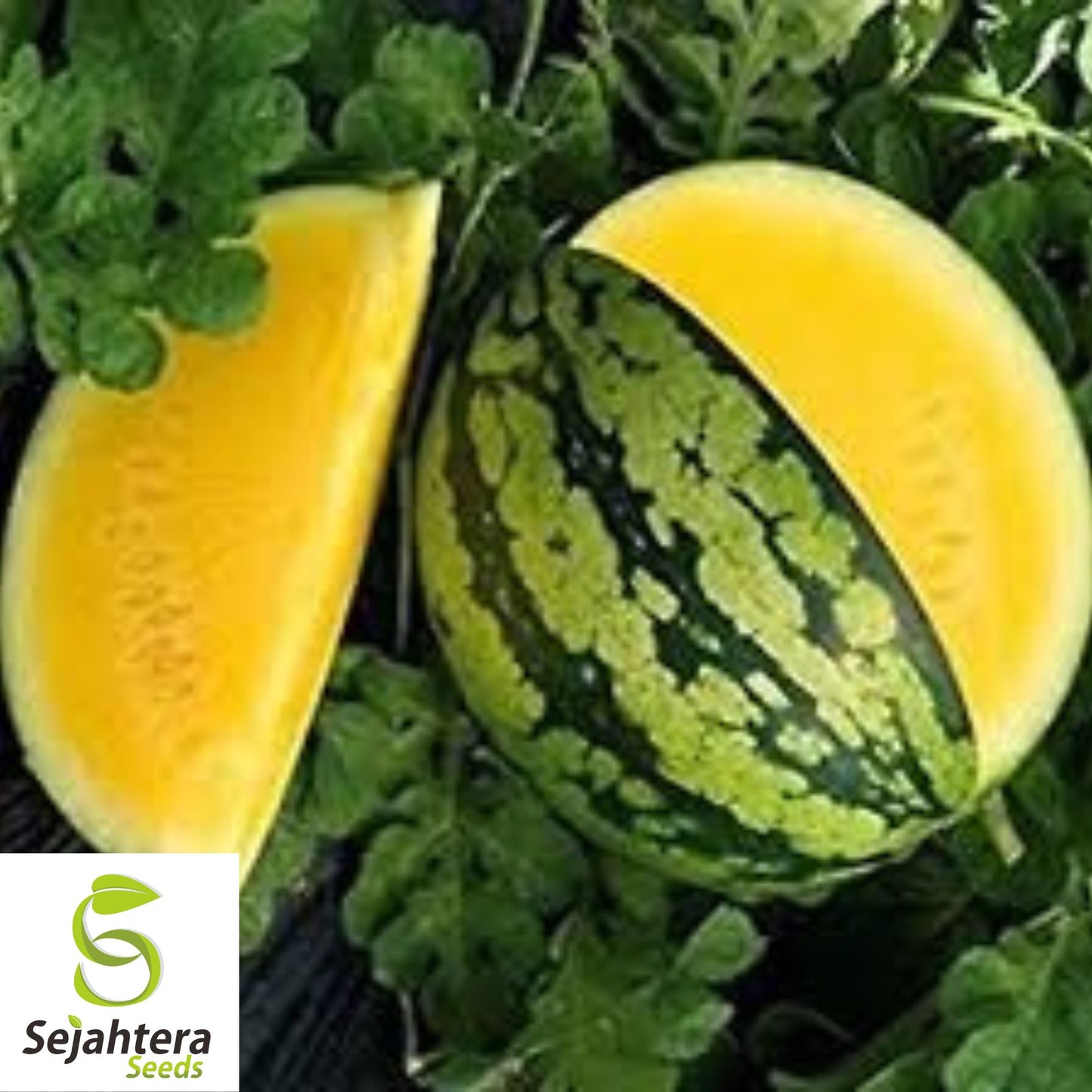 Yellow Gem Watermelon Seeds - 10+ Heirloom, Non-GMO, Sweet & Rare