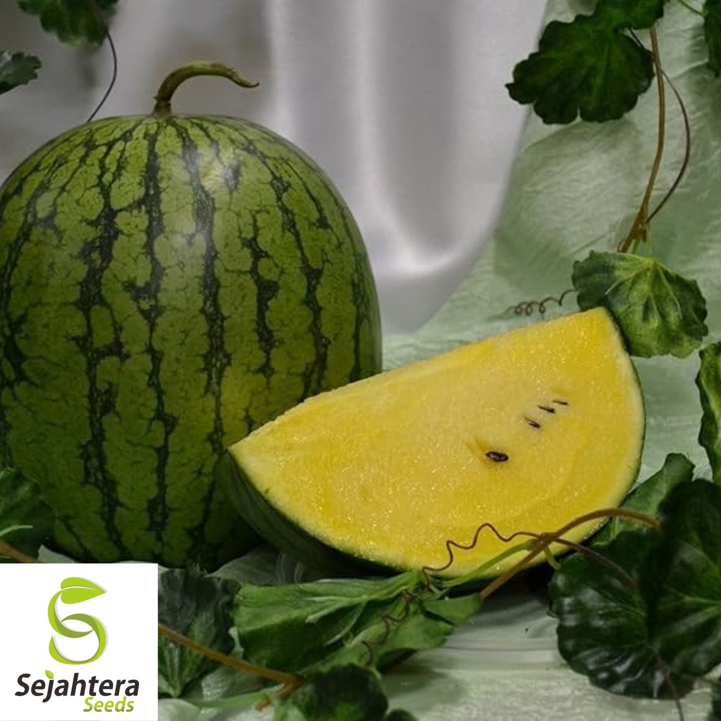 Yellow Gem Watermelon Seeds - 10+ Heirloom, Non-GMO, Sweet & Rare
