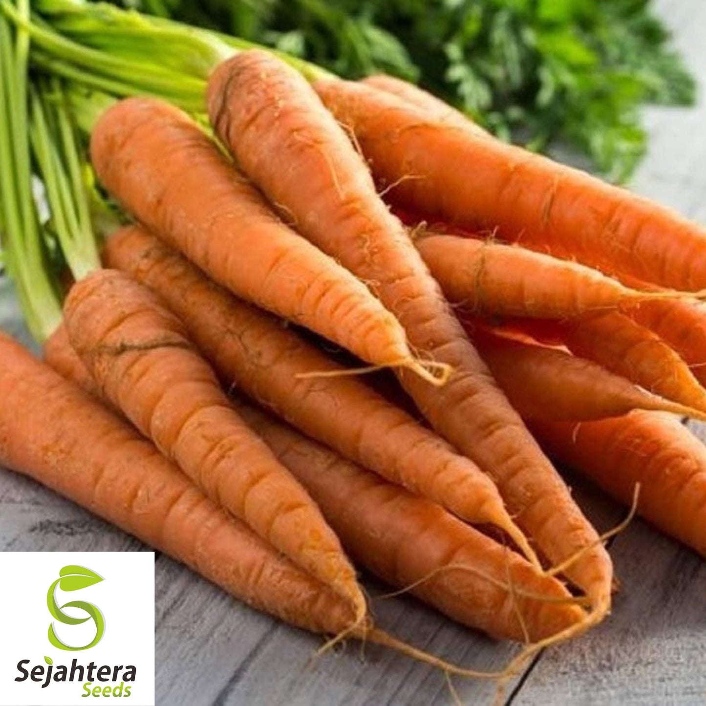 300 Tender Sweet Carrot Seeds - Non-GMO, Crisp & Flavorful Variety