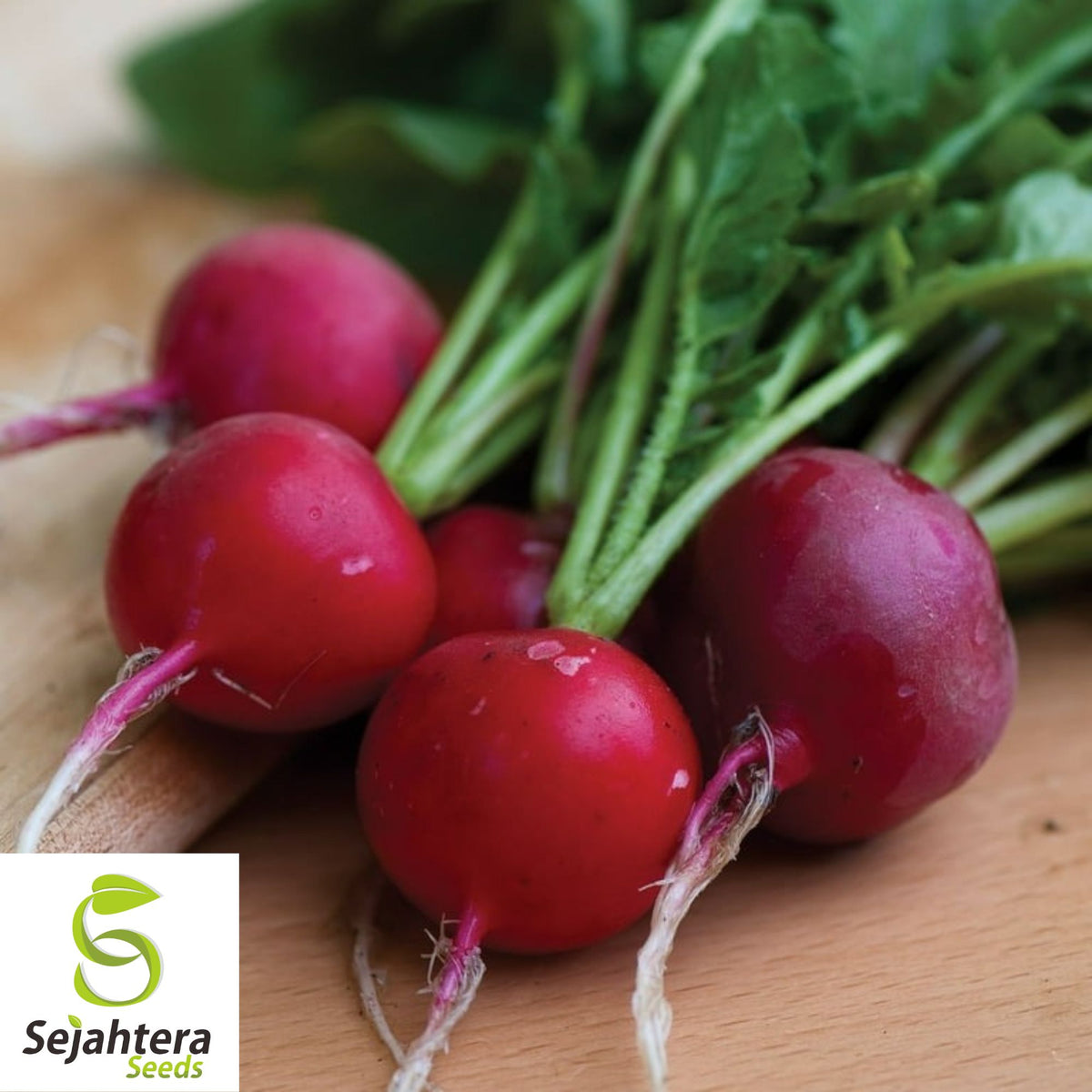 Cherry Belle Radish Seeds - 50 Heirloom, Organic, Non-GMO & Fresh