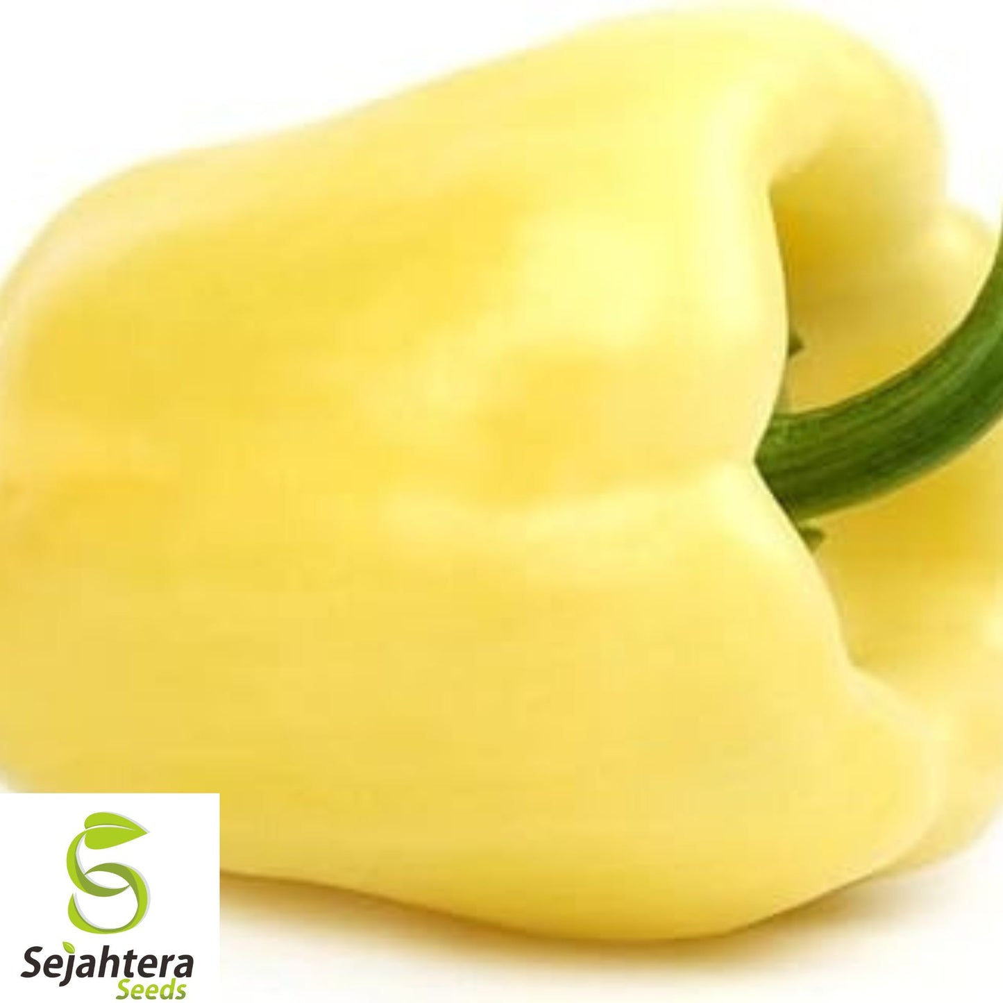 30+ White Bell Pepper Seeds - Heirloom, Organic, Non-GMO, Rare & Sweet Variety
