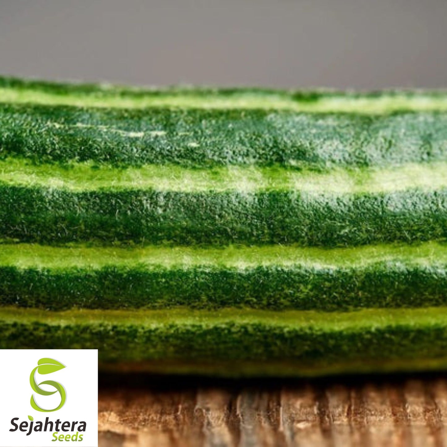 Painted Serpent Cucumber Seeds - 100+ Heirloom, Organic, Non-GMO & Rare