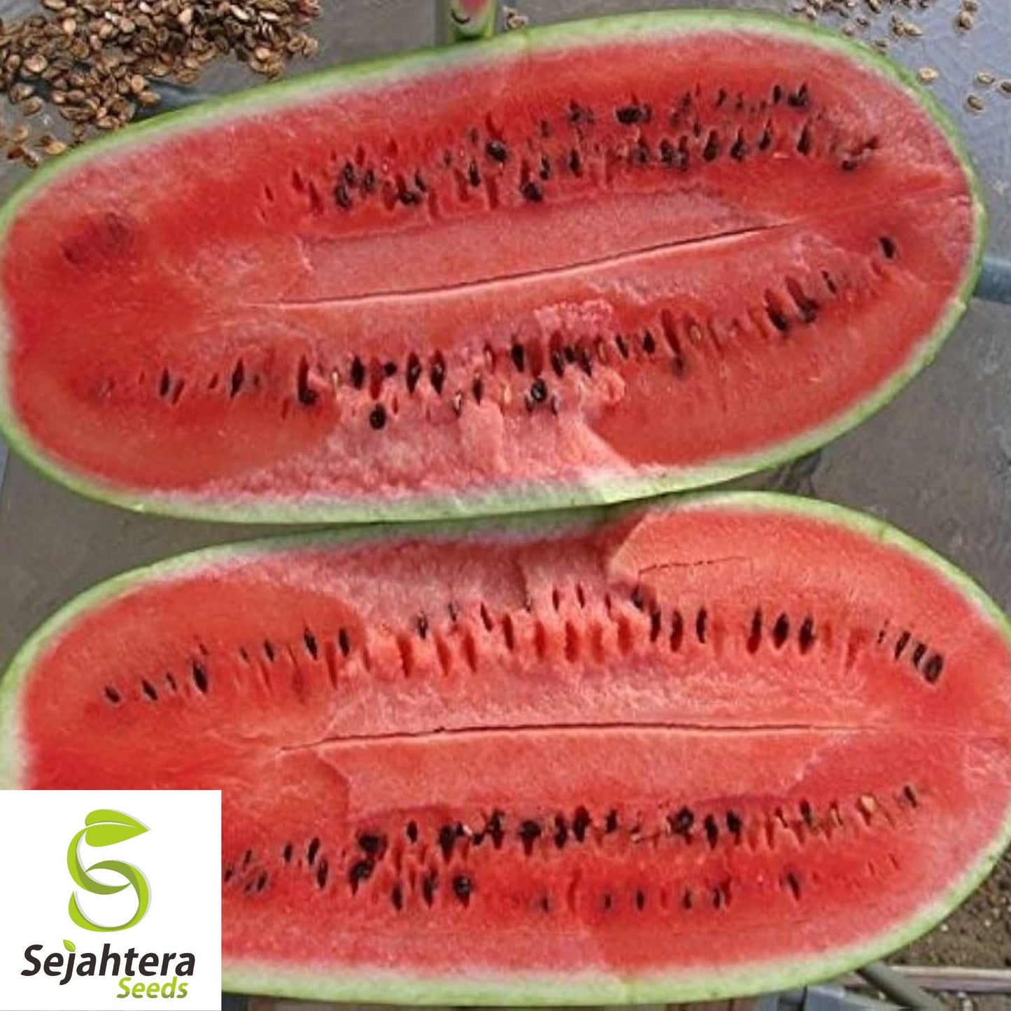 Charleston Grey Watermelon Seeds - 100+ Heirloom, Organic, Non-GMO & Giant