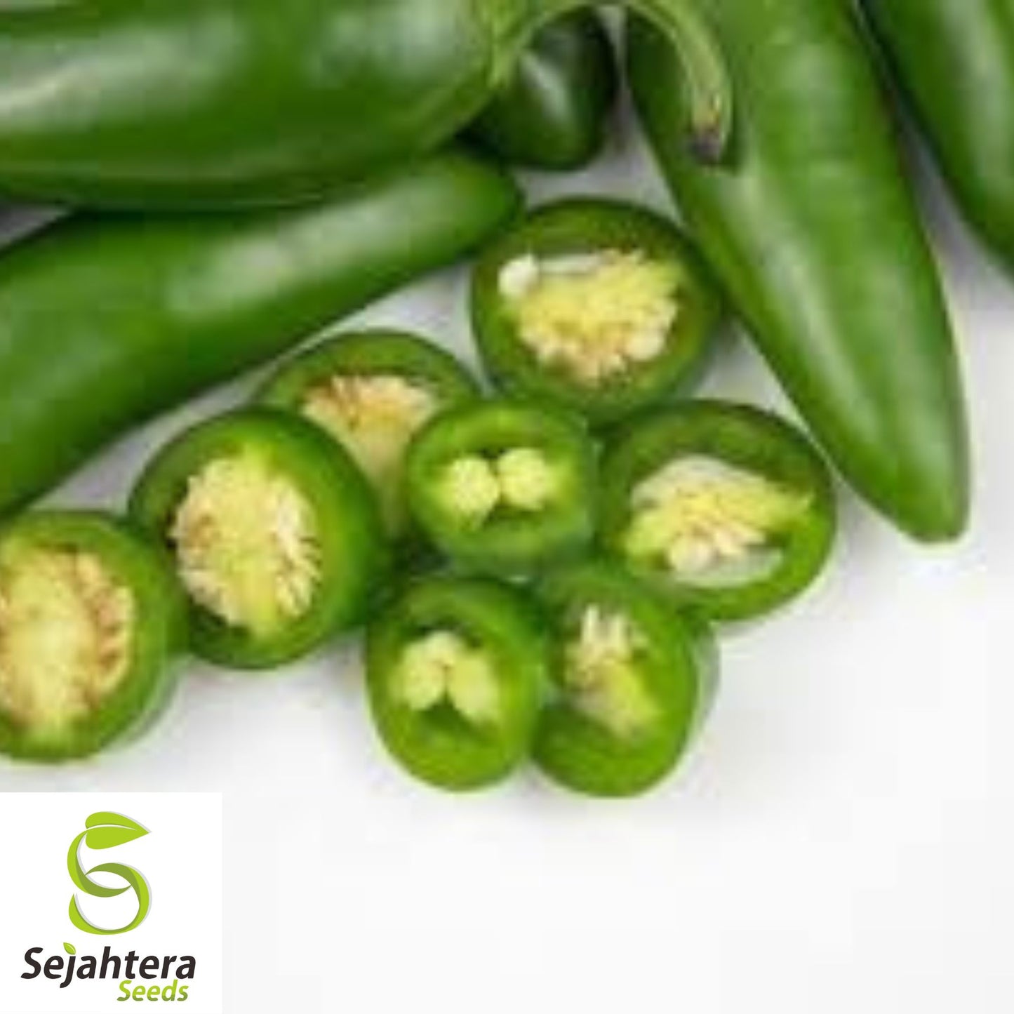 Early Jalapeño Pepper Seeds - 50+ Heirloom, Non-GMO, High-Yield & Fresh