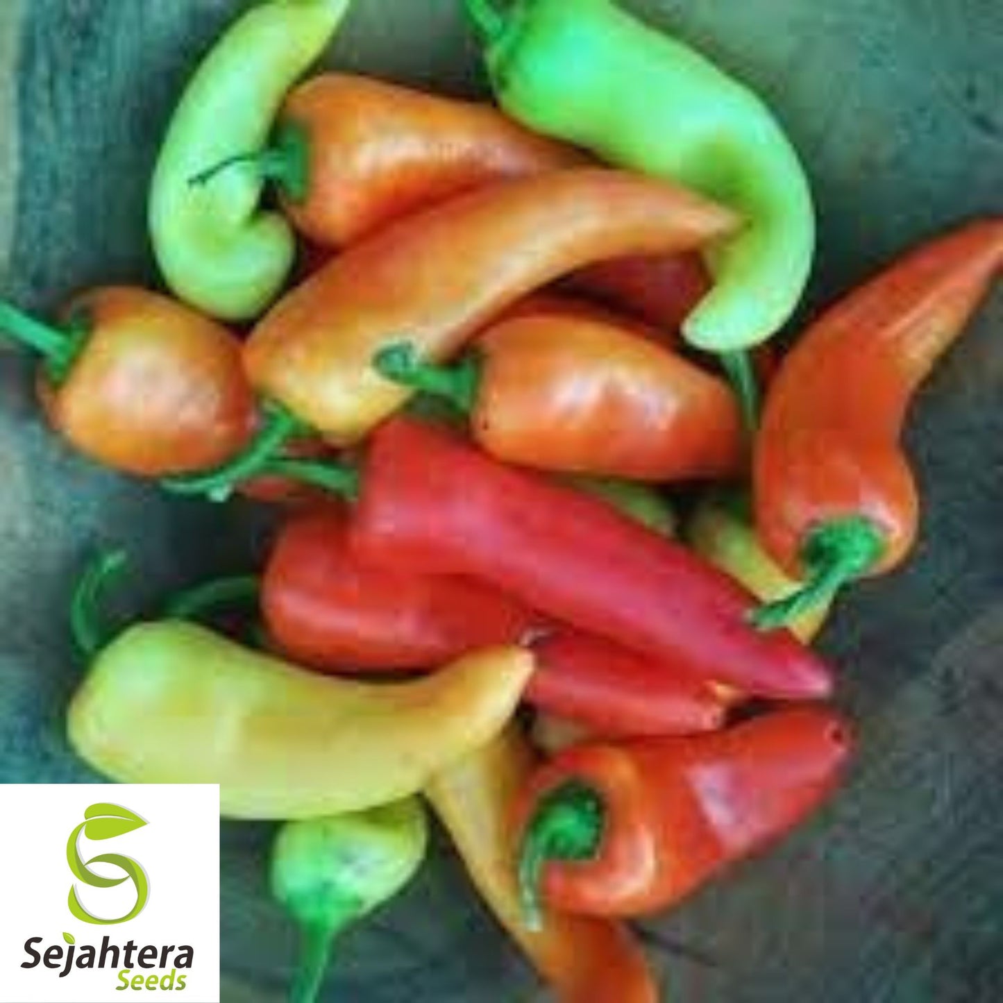 Hot and Happy Pepper Mix Seeds - 50+ Heirloom, Large Assortment, Spicy & Colorful