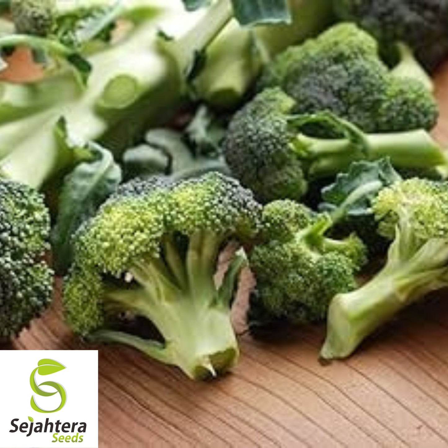 500+ Broccoli Seeds - Non-GMO, Heirloom & Nutritious Vegetable Variety