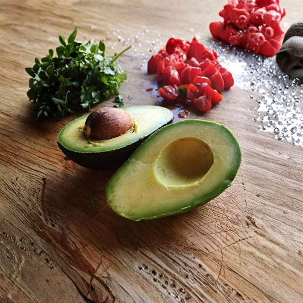 Hass Avocado Tree – Persea americana Grafted Live Avocado Tree | 2–4 Feet Tall Type A Avocado • Ships to CA & PR